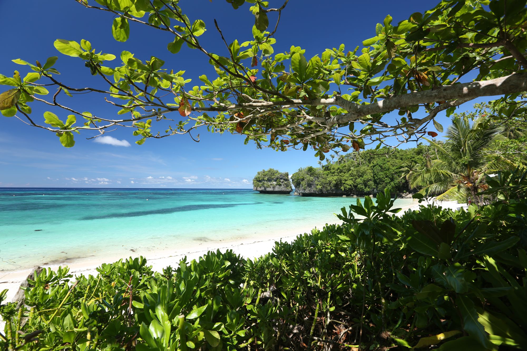 Amun Ini Beach Resort & Spa à Bohol: Tropical Vibes