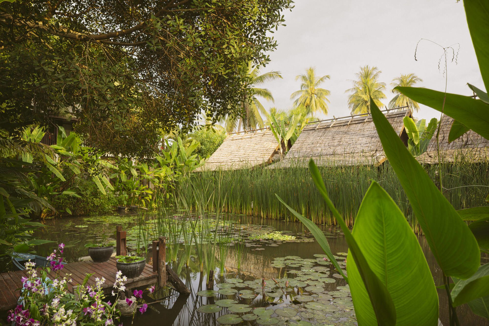 Maison Dalabua in Luang Prabang: Pond