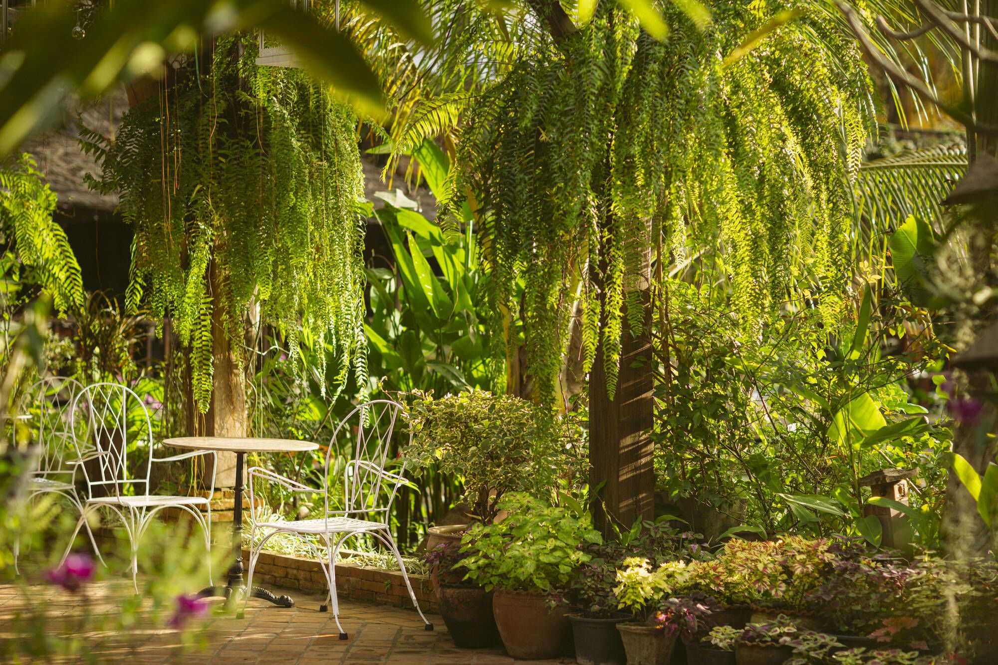 Maison Dalabua in Luang Prabang: Garden