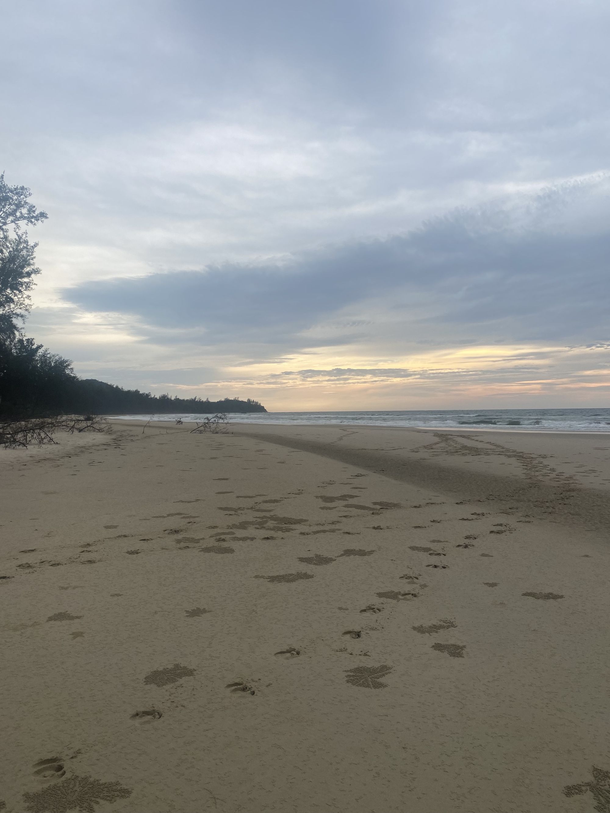 Das einfache Leben am Meer - Taburan Beach Experience ab Kota Kinabalu: Taburan Beach