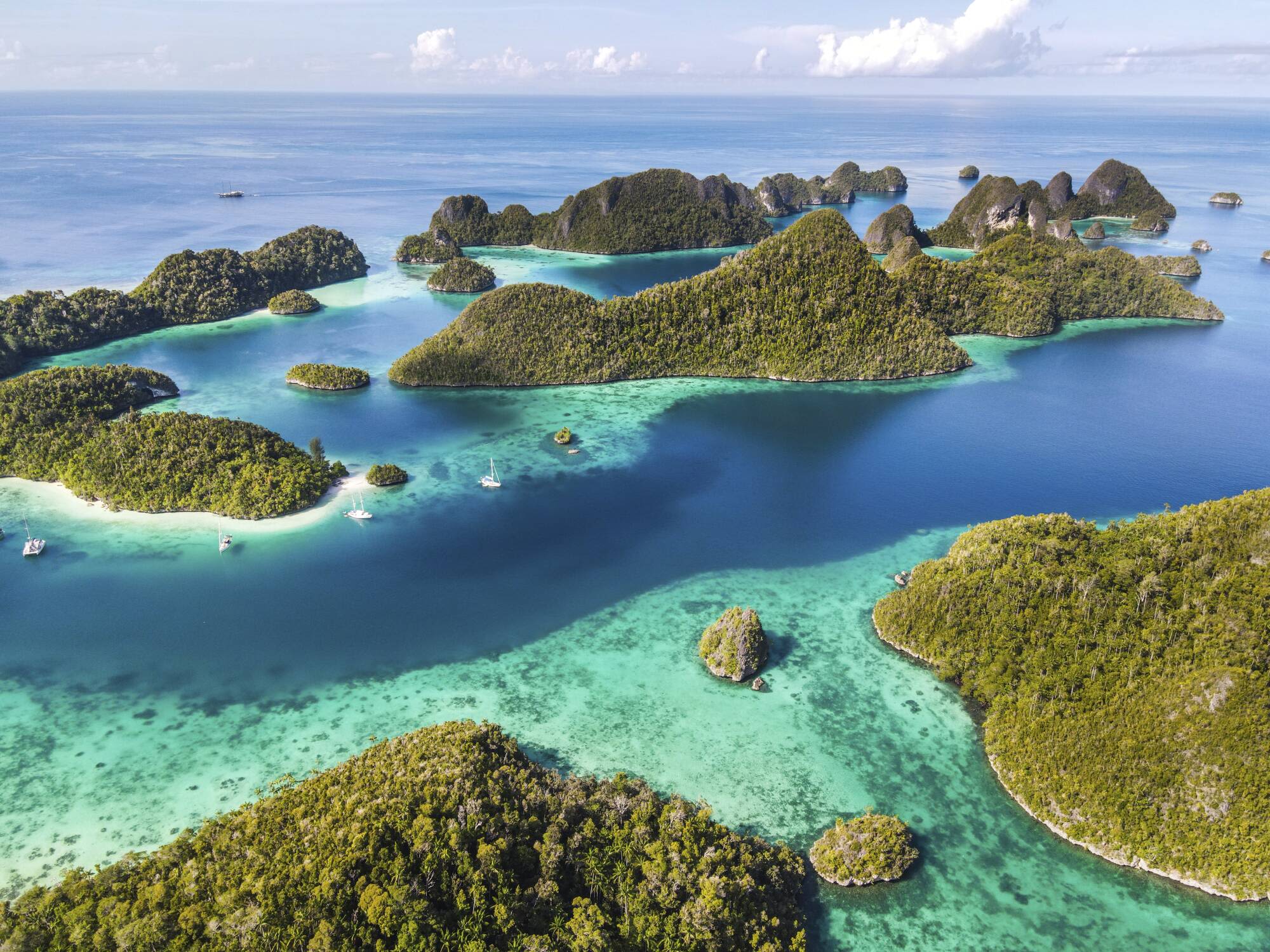 Raja Ampat & die Molukken – Eine Expedition in die letzte grosse Wildnis Indonesiens ab Sorong: Raja Ampat