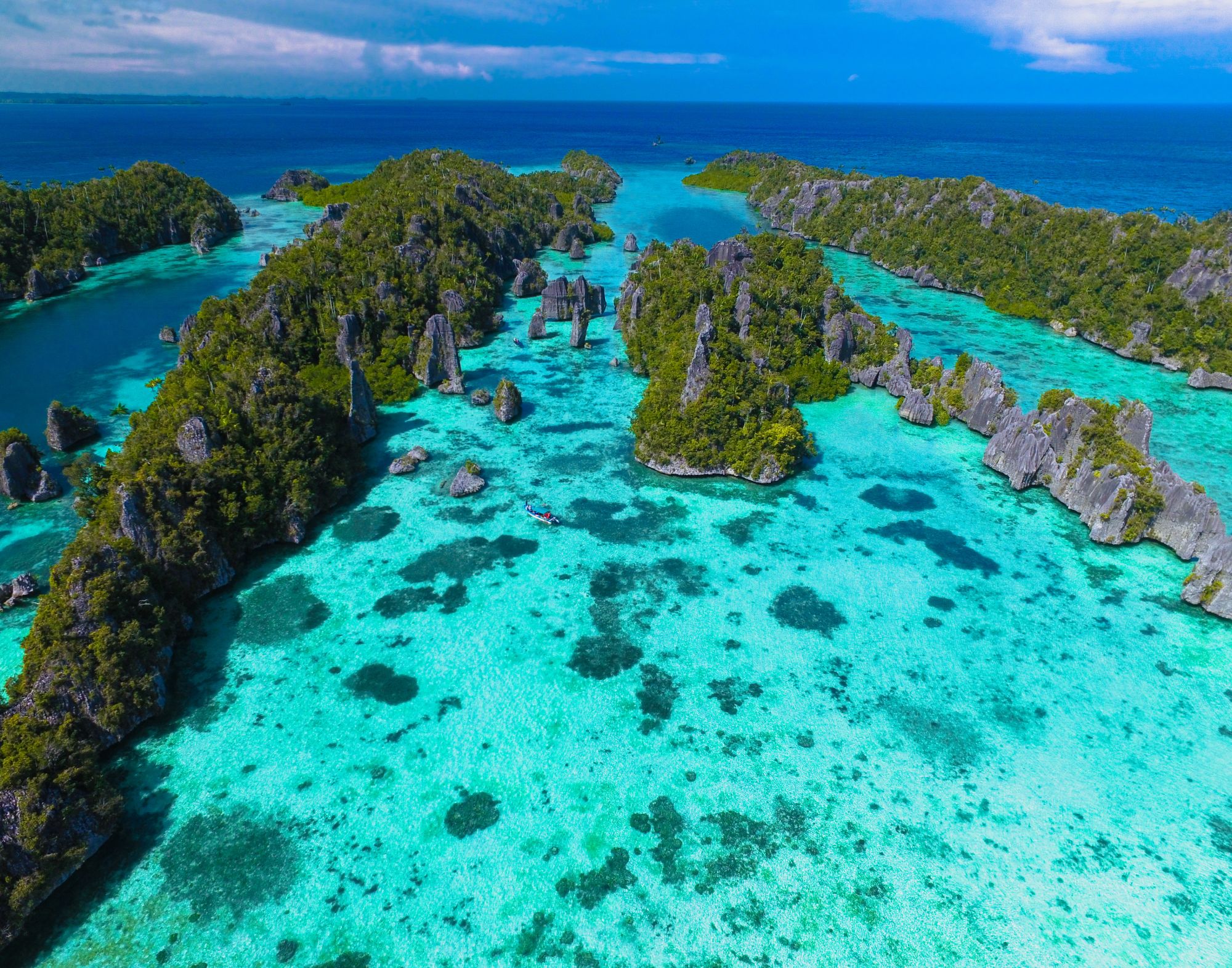 Raja Ampat & die Molukken – Eine Expedition in die letzte grosse Wildnis Indonesiens de Sorong: Raja Ampat | Misool Island