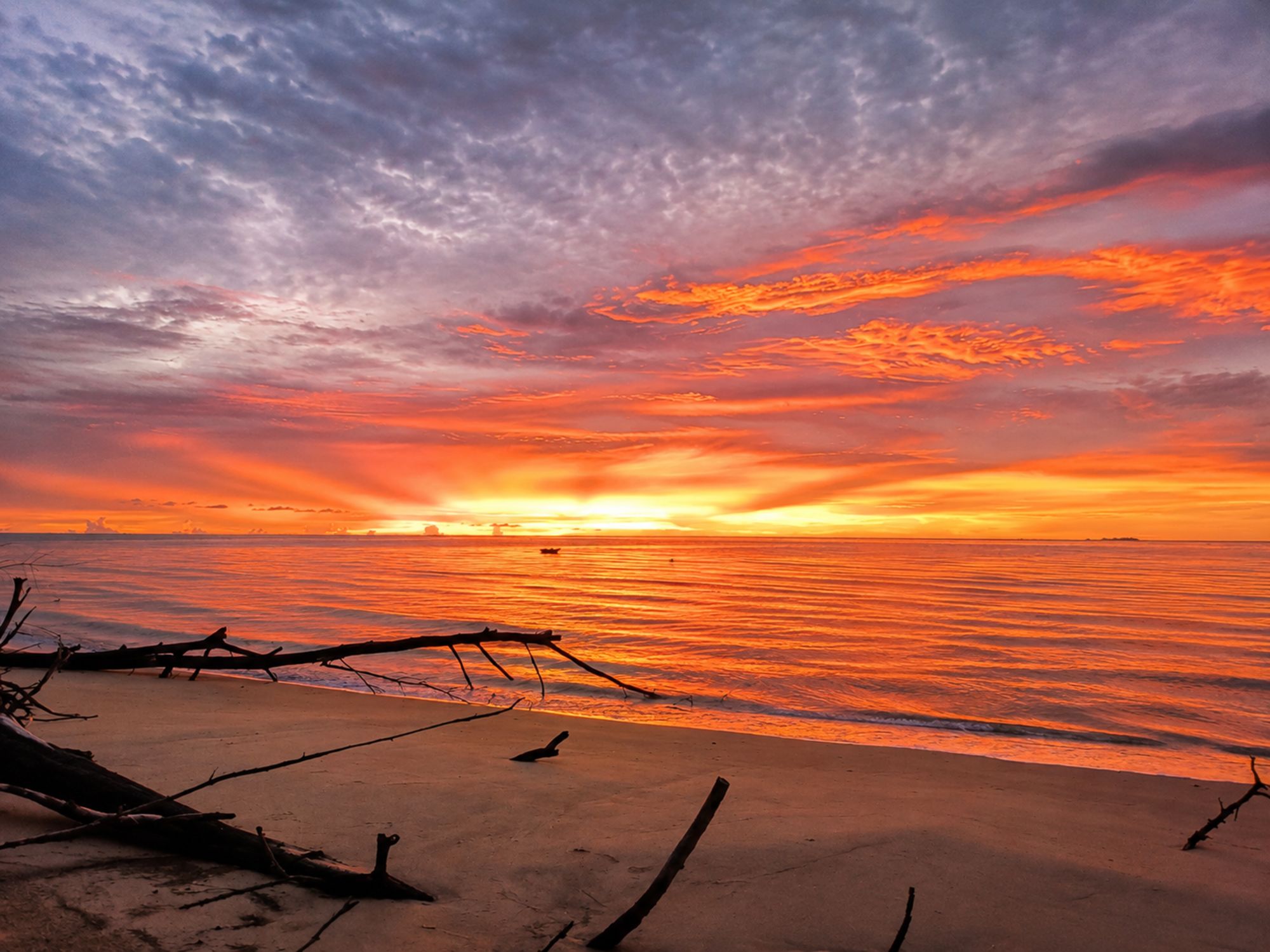 Das einfache Leben am Meer - Taburan Beach Experience ab Kota Kinabalu: beach: Living by the Sea - The Taburan Beach Experience