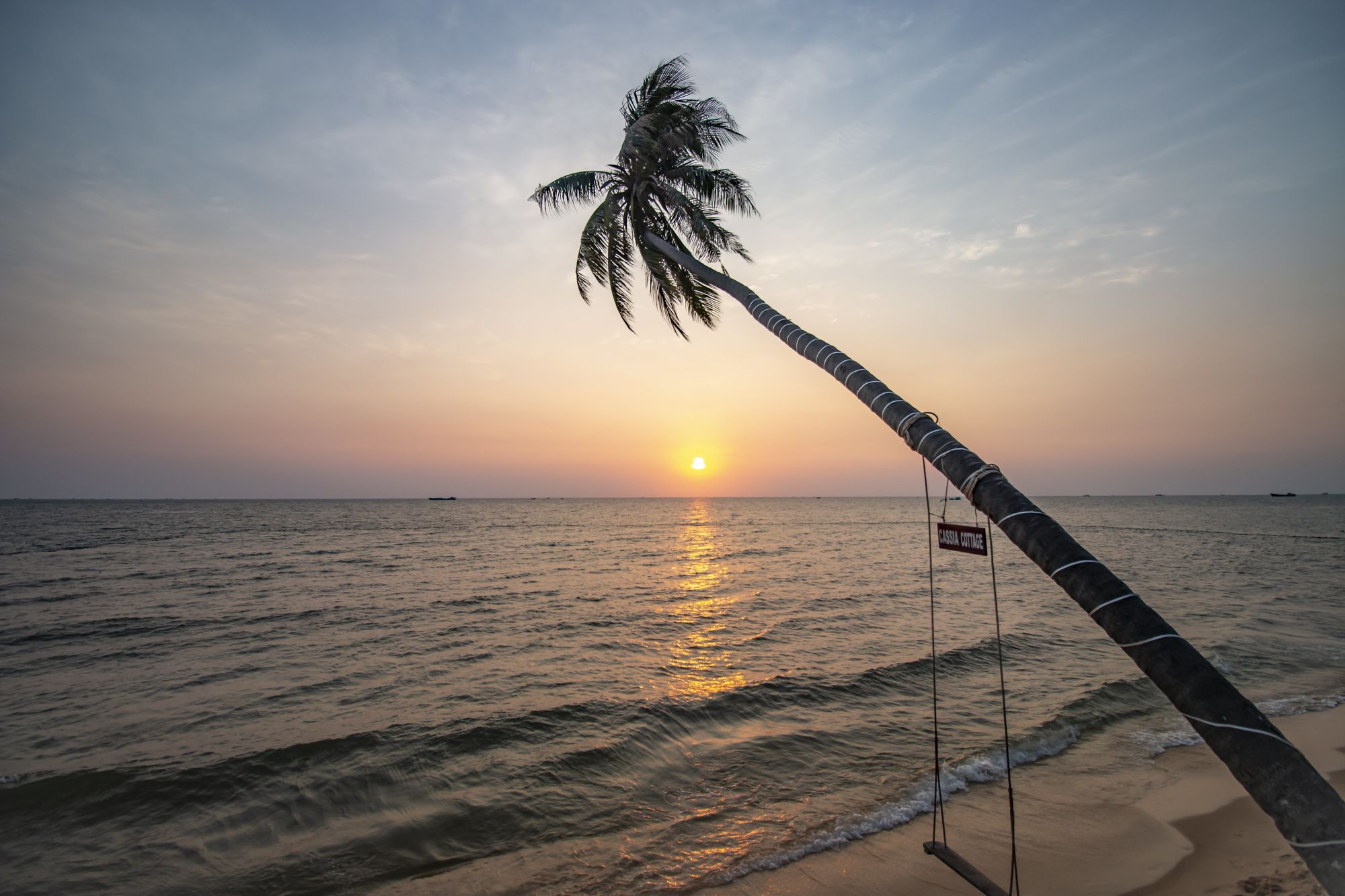 Cassia Cottage à Phu Quoc: Coconut tree at the beach
