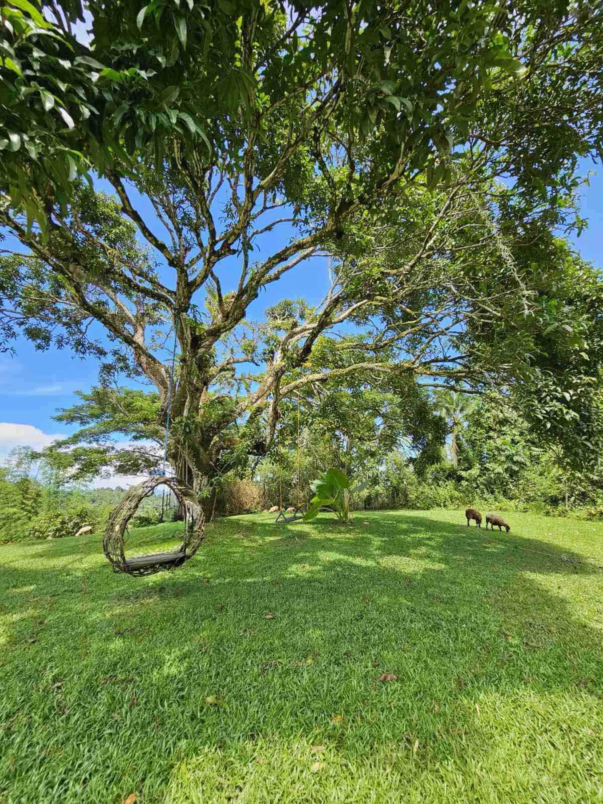 Cebu - Heritage & Soft Adventure: Farm house