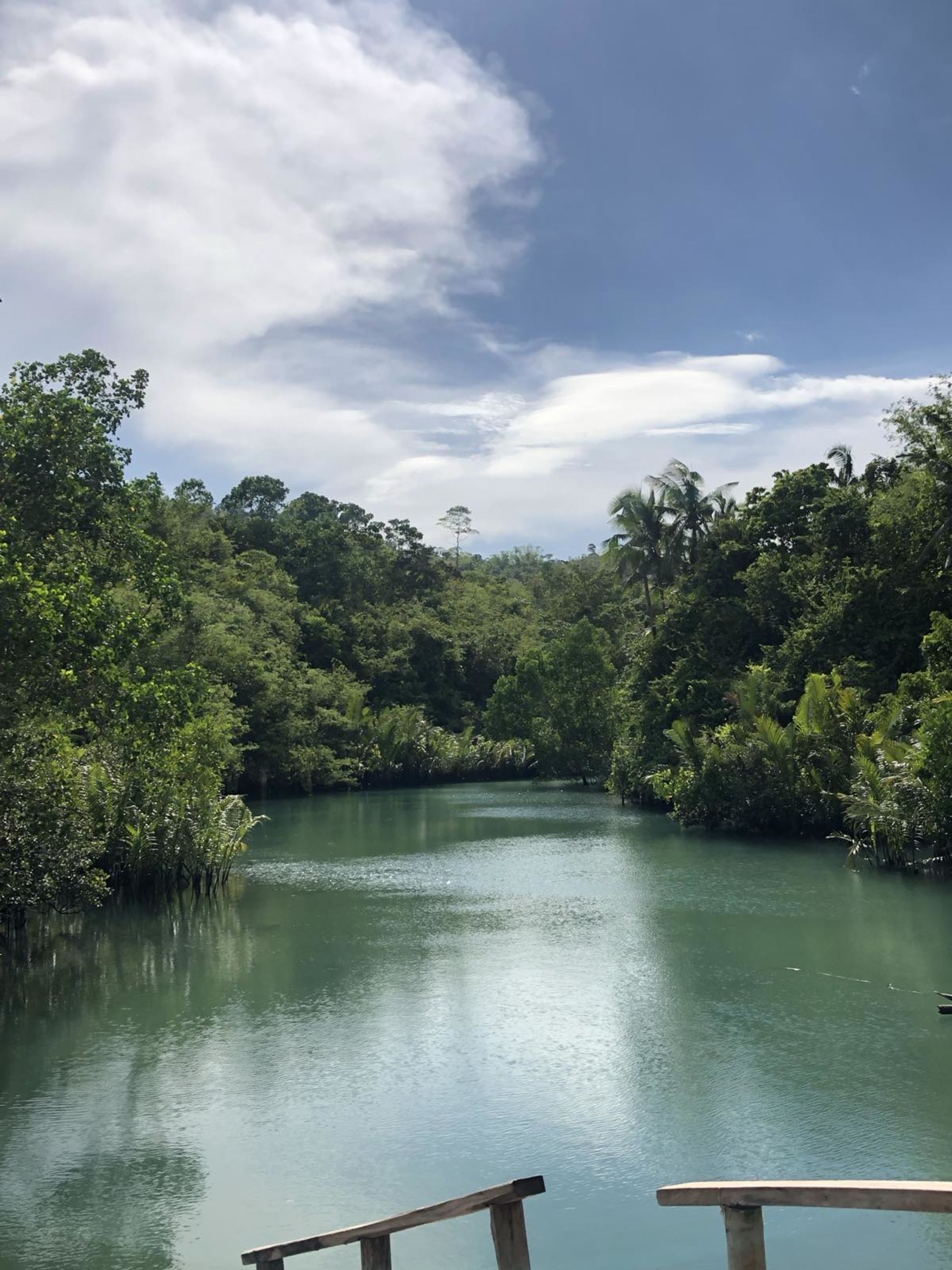 Cebu - Heritage & Soft Adventure: Bojo River