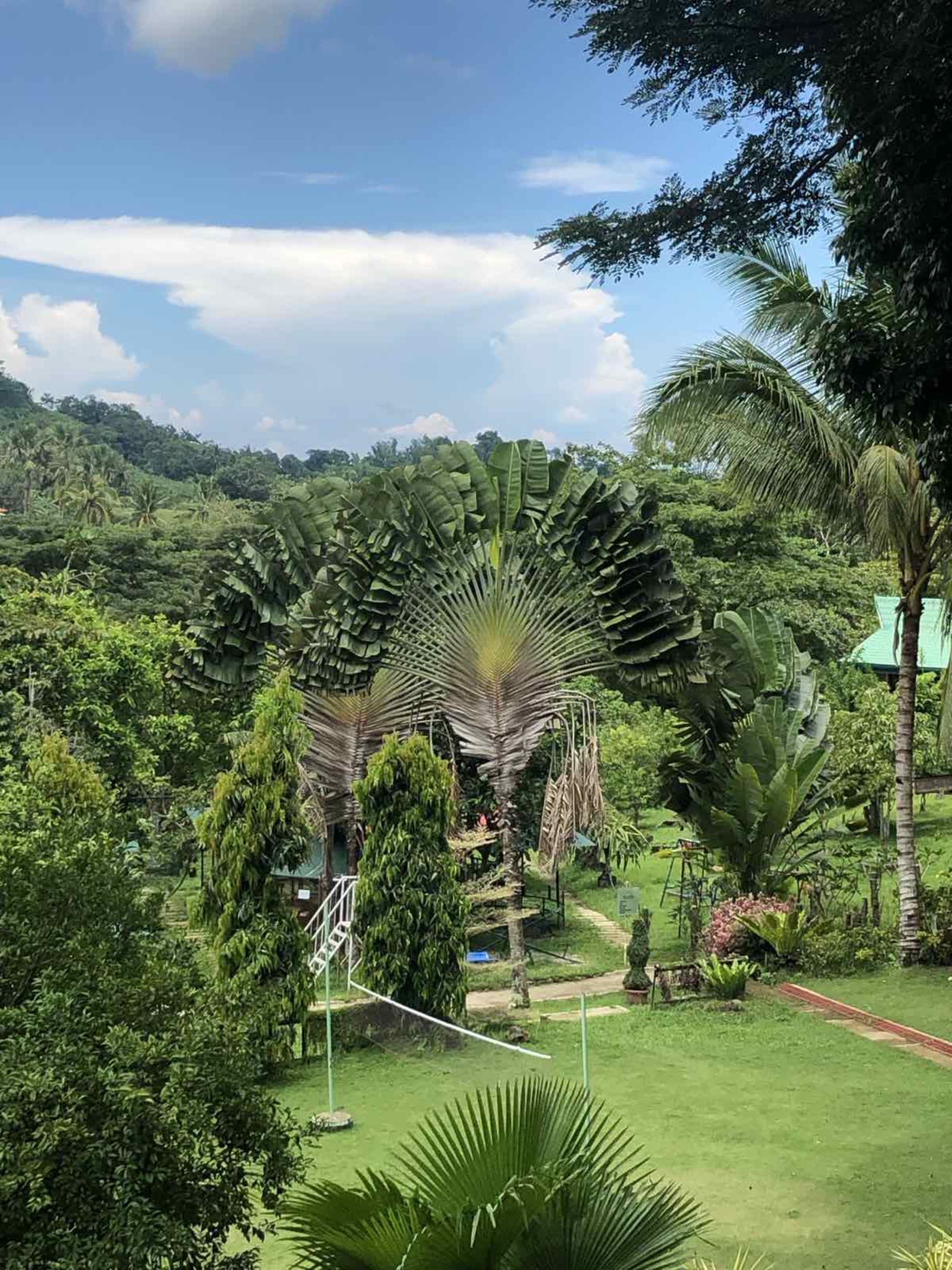 Cebu - Heritage & Soft Adventure: Farm House