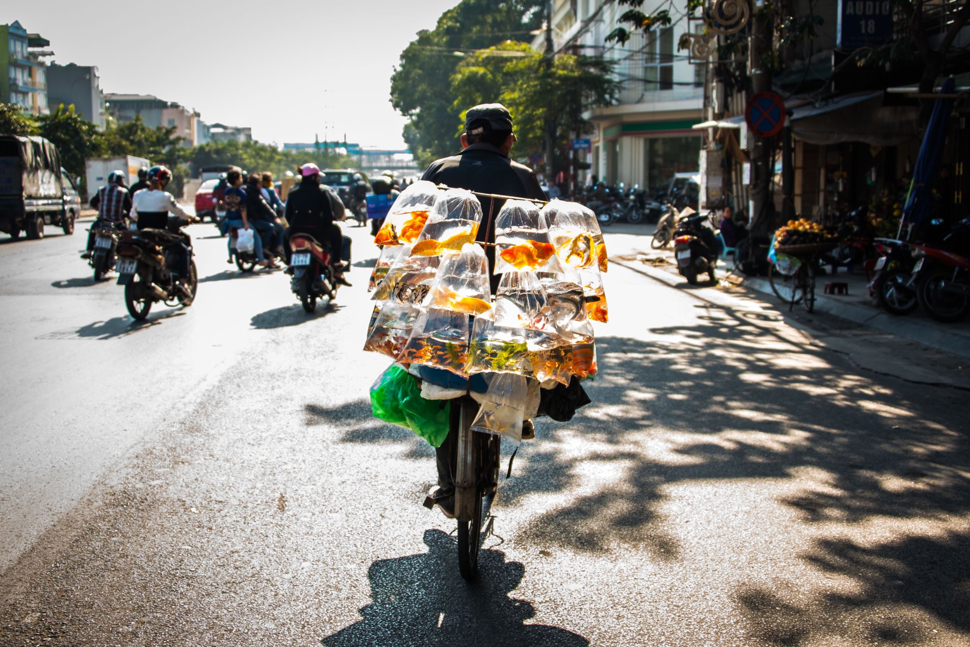Hanoi auf dem E-Bike entdecken: Hanoi living fishes transport