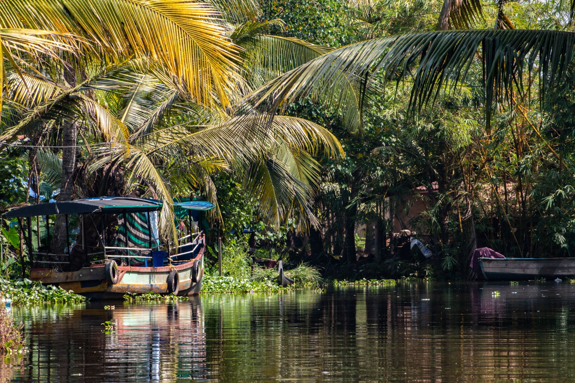 Keralas stille Wasserwelten ab Kochi: Backwaters | Alappuzha (Alleppey)