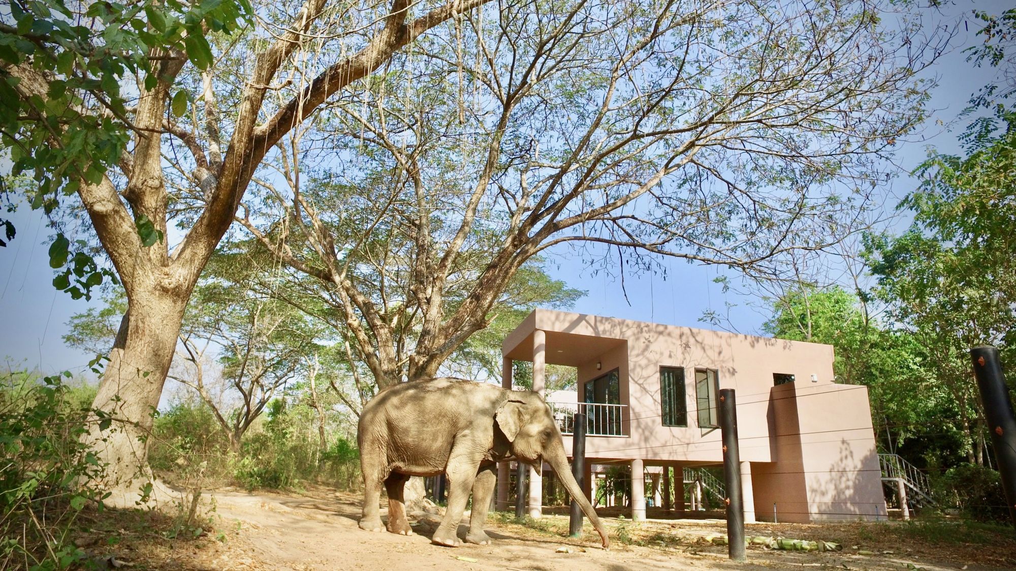Erlebnis Südthailand ab Bangkok: I Love Phants Lodge