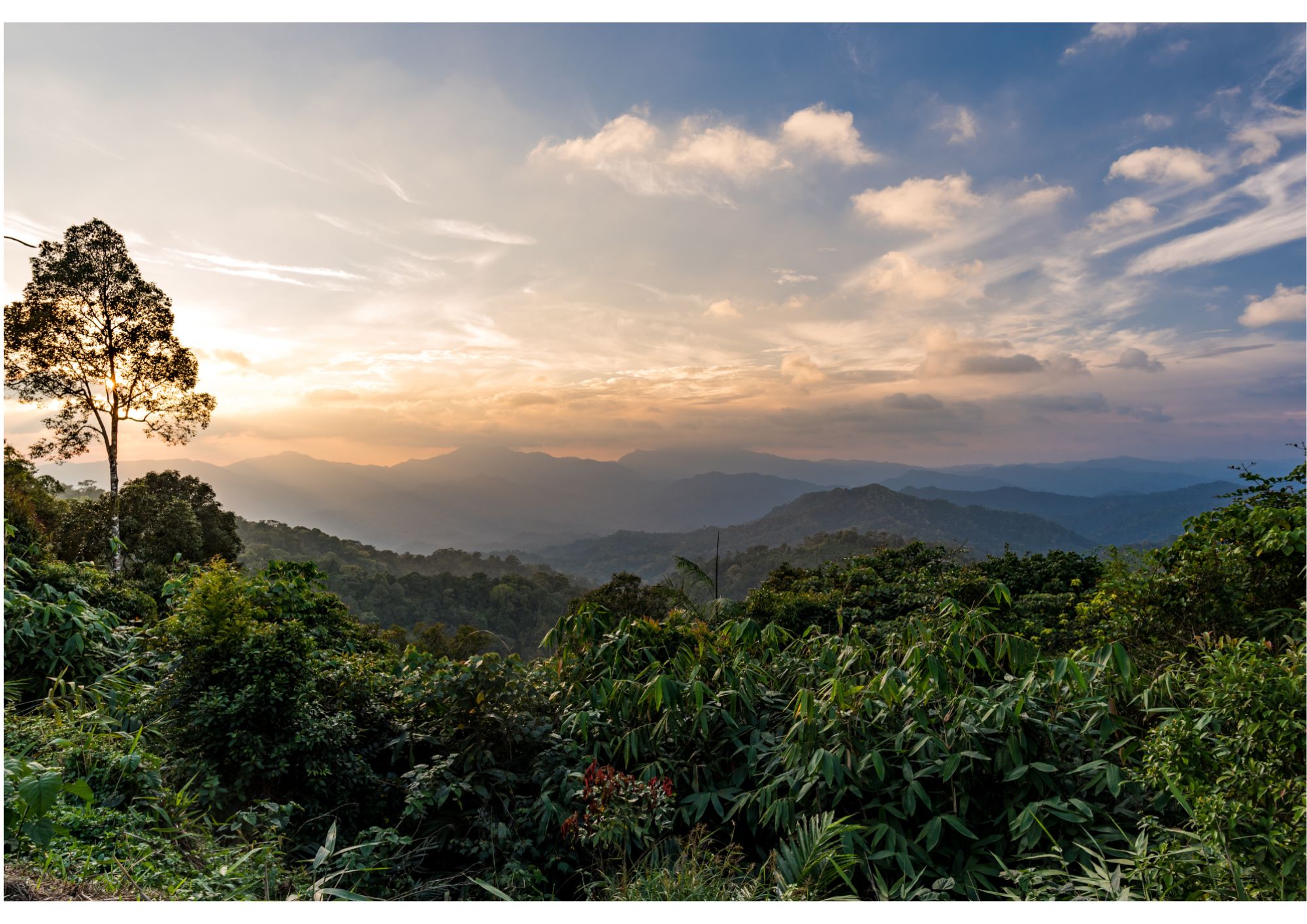 Erlebnis Südthailand ab Bangkok: Kaeng Krachan National Park