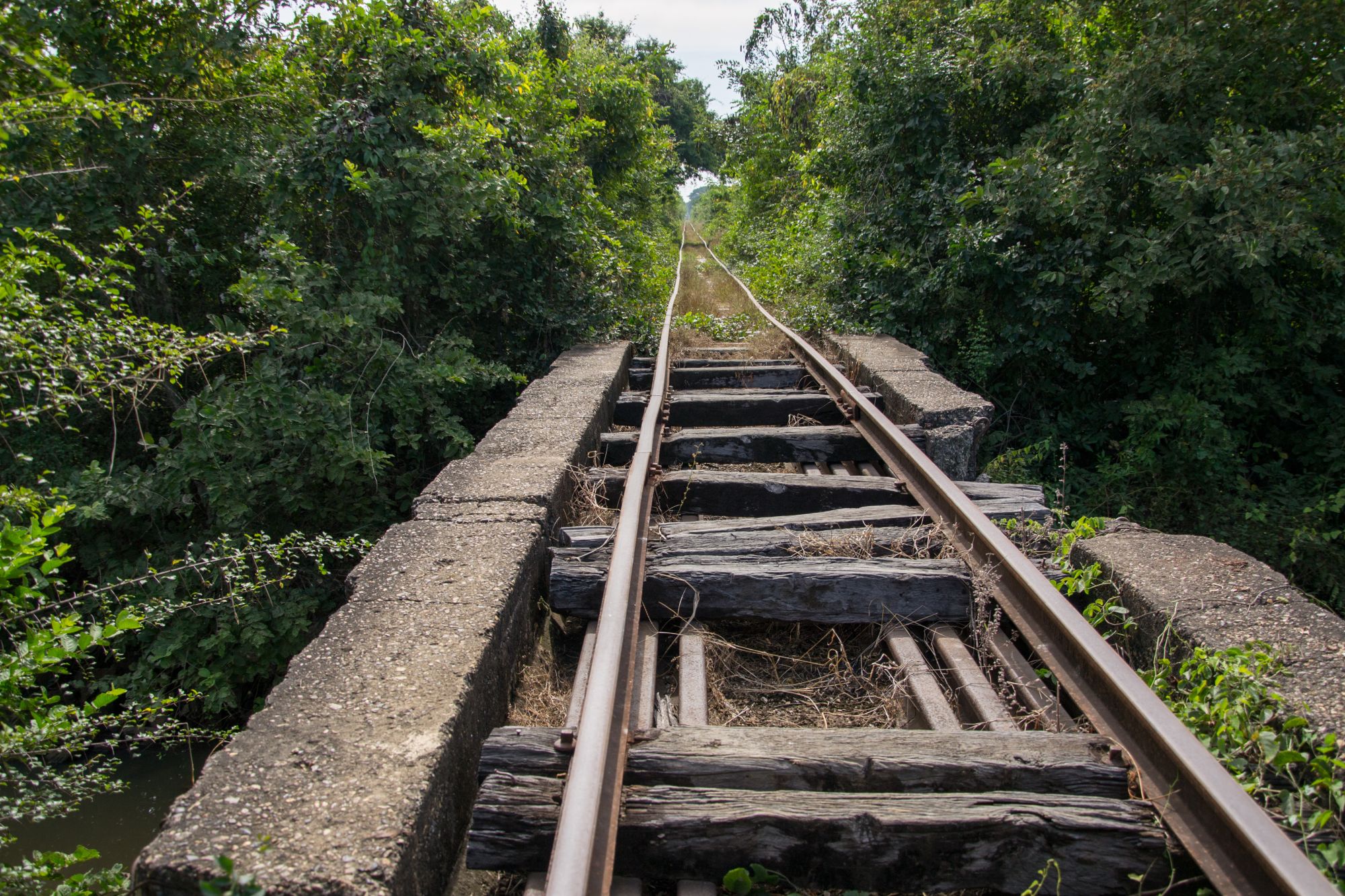 Battambang originel de Siem Reap: Battambang 