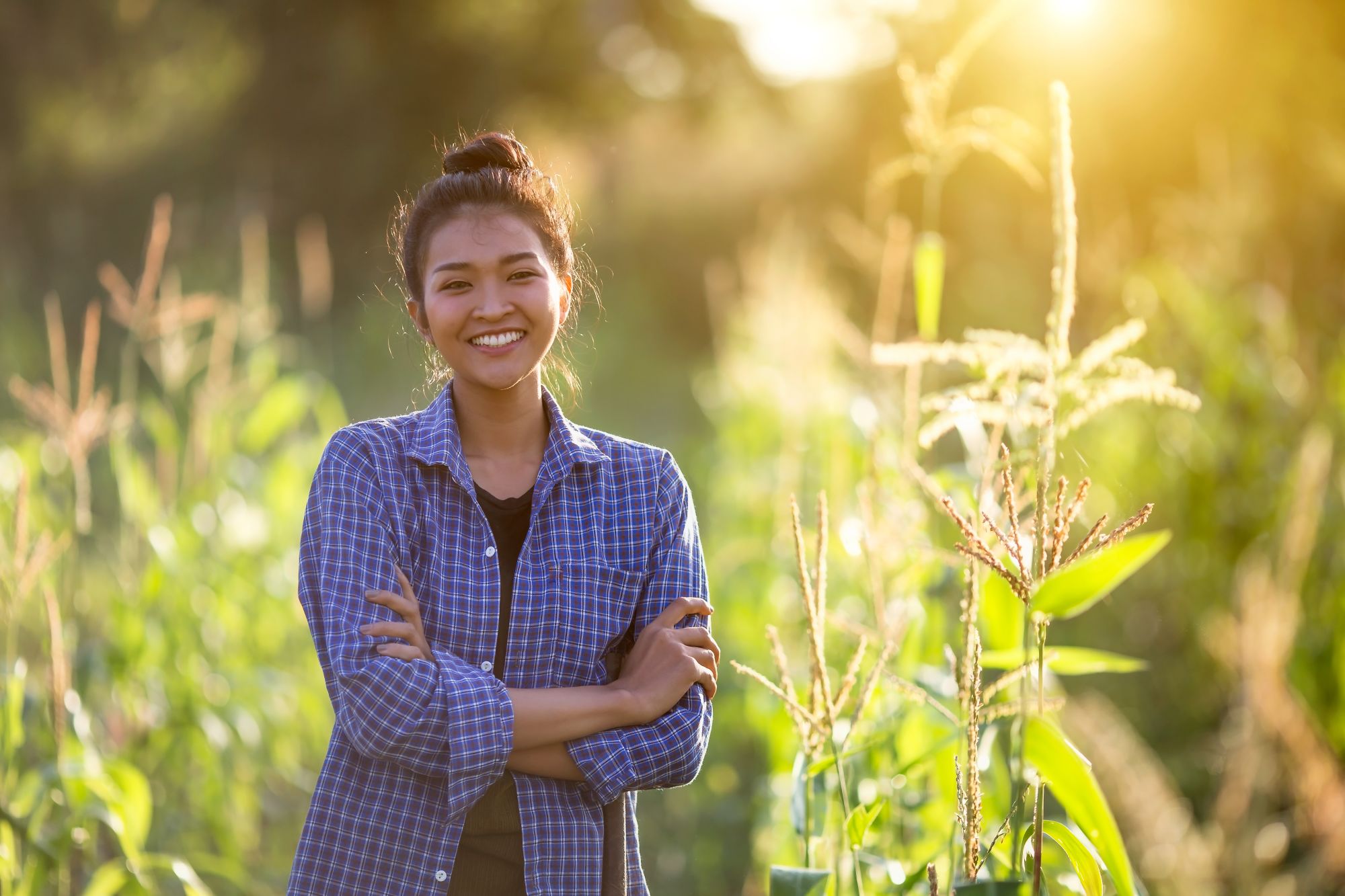Battambang originel de Siem Reap: Happy Cambodian farmer in her corn field 