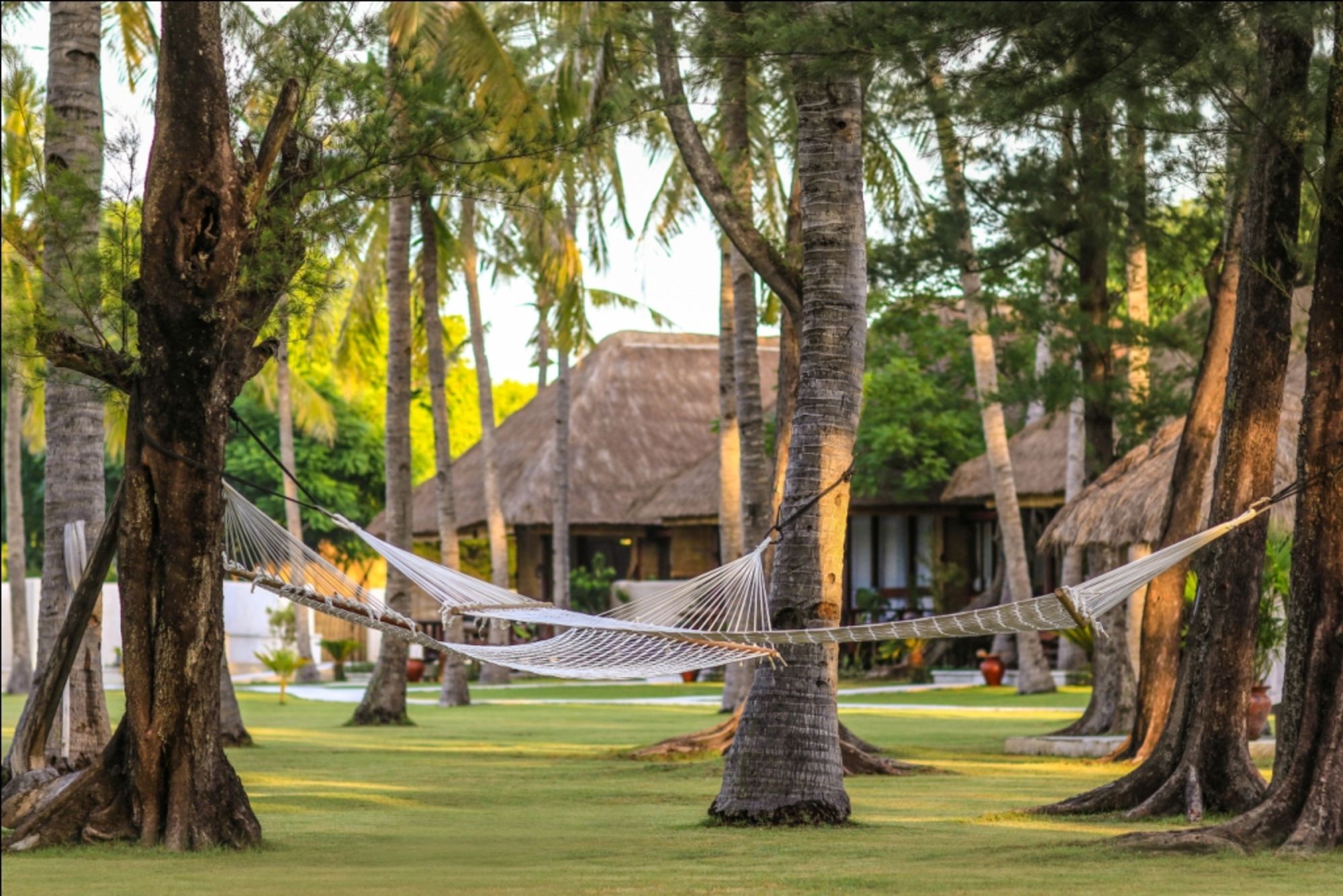 Pondok Santi Estate in Gili: Garden