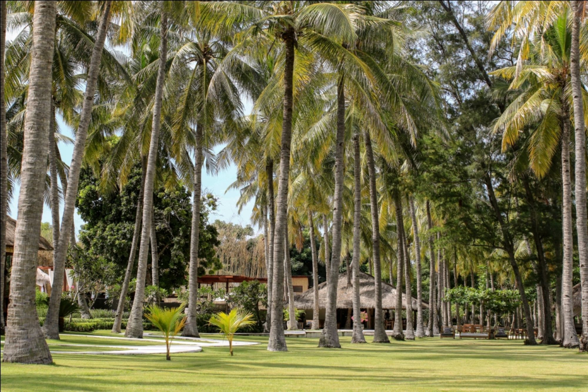 Pondok Santi Estate in Gili: Garden