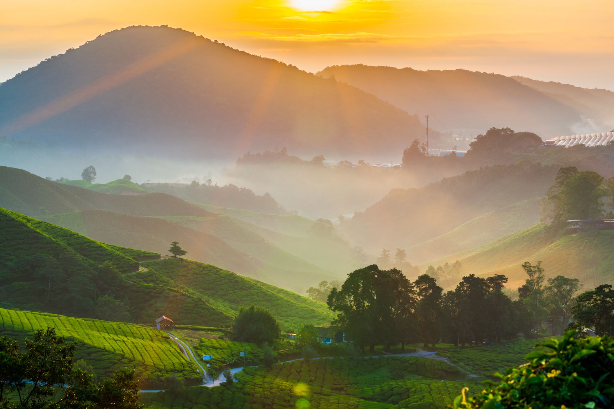 Circuit en voiture de location Malaisie de Kuala Lumpur: Malaysia Cameron Highlands