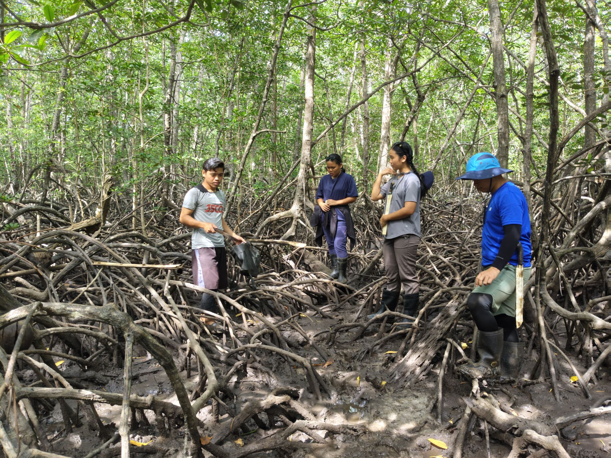 Le bonheur simple au bord de la mer – Taburan Beach Experience de Kota Kinabalu: Taburan Beach | Mangroves