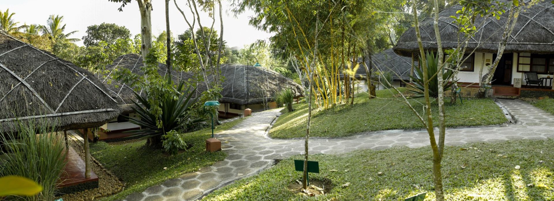 Spice Village à Thekkady: Walkways