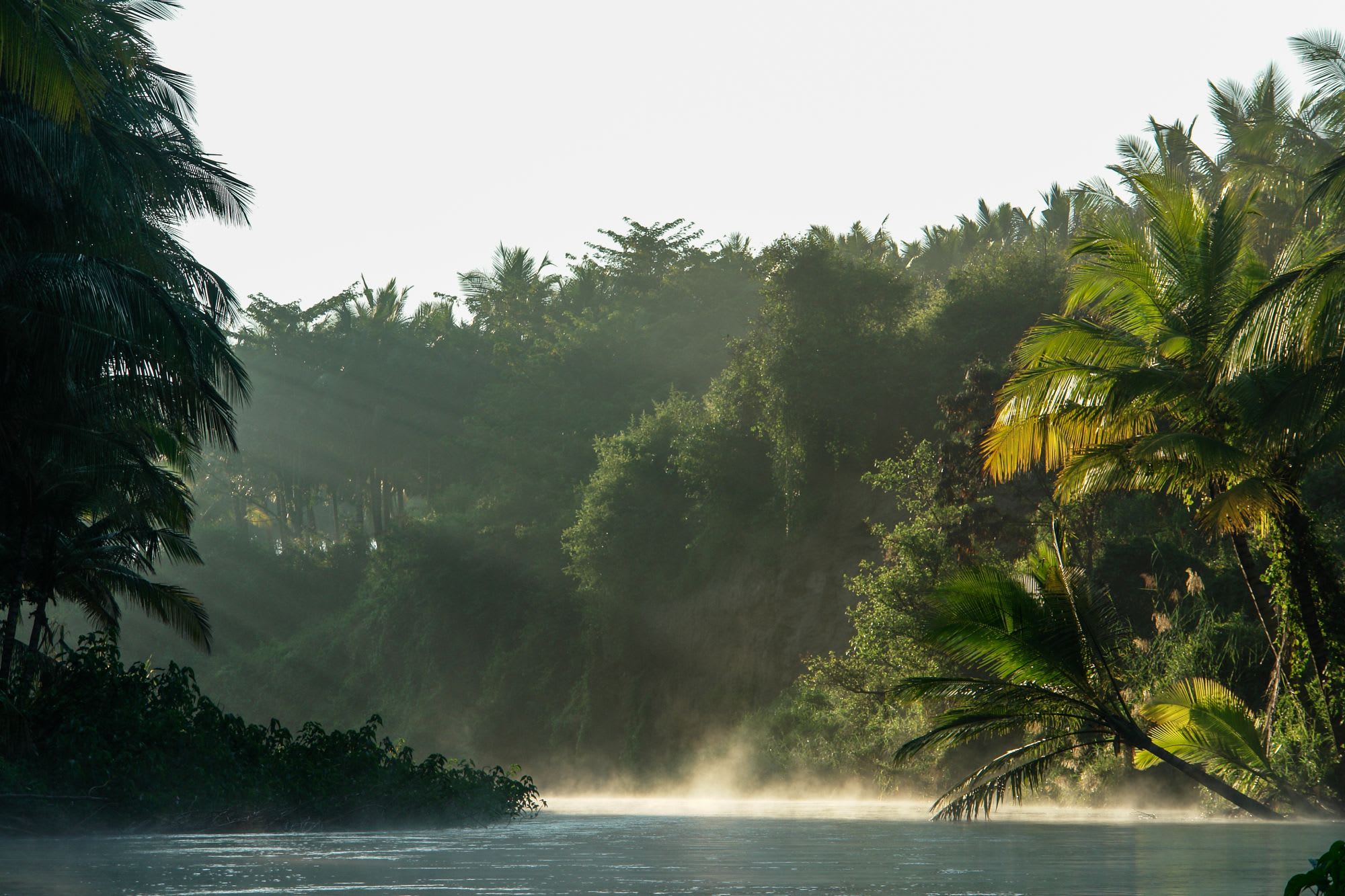 Spice Village à Thekkady: Morning Fog