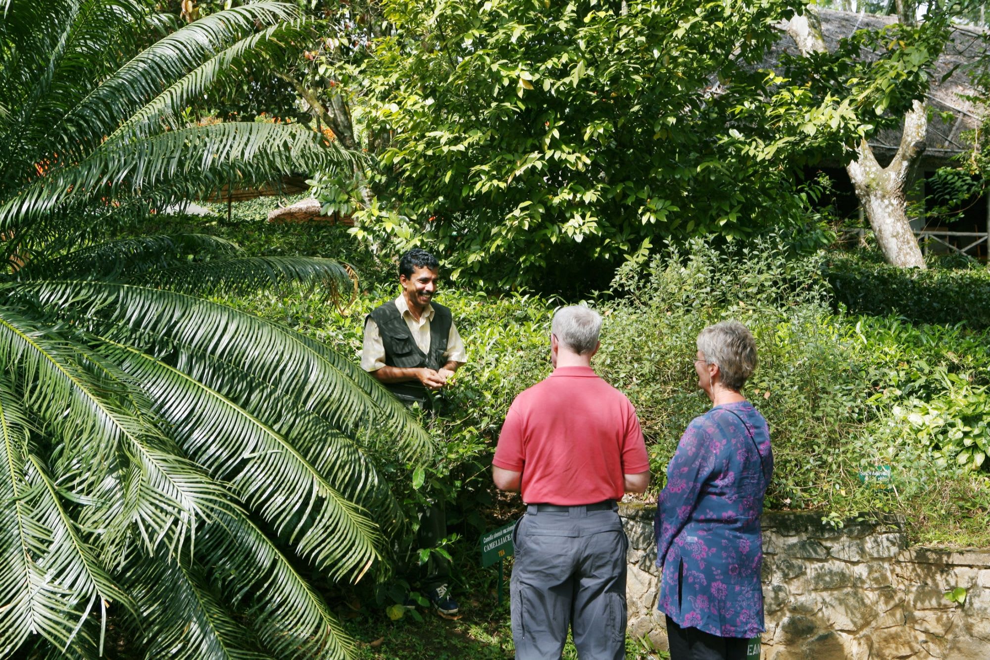 Spice Village à Thekkady: Information about plants