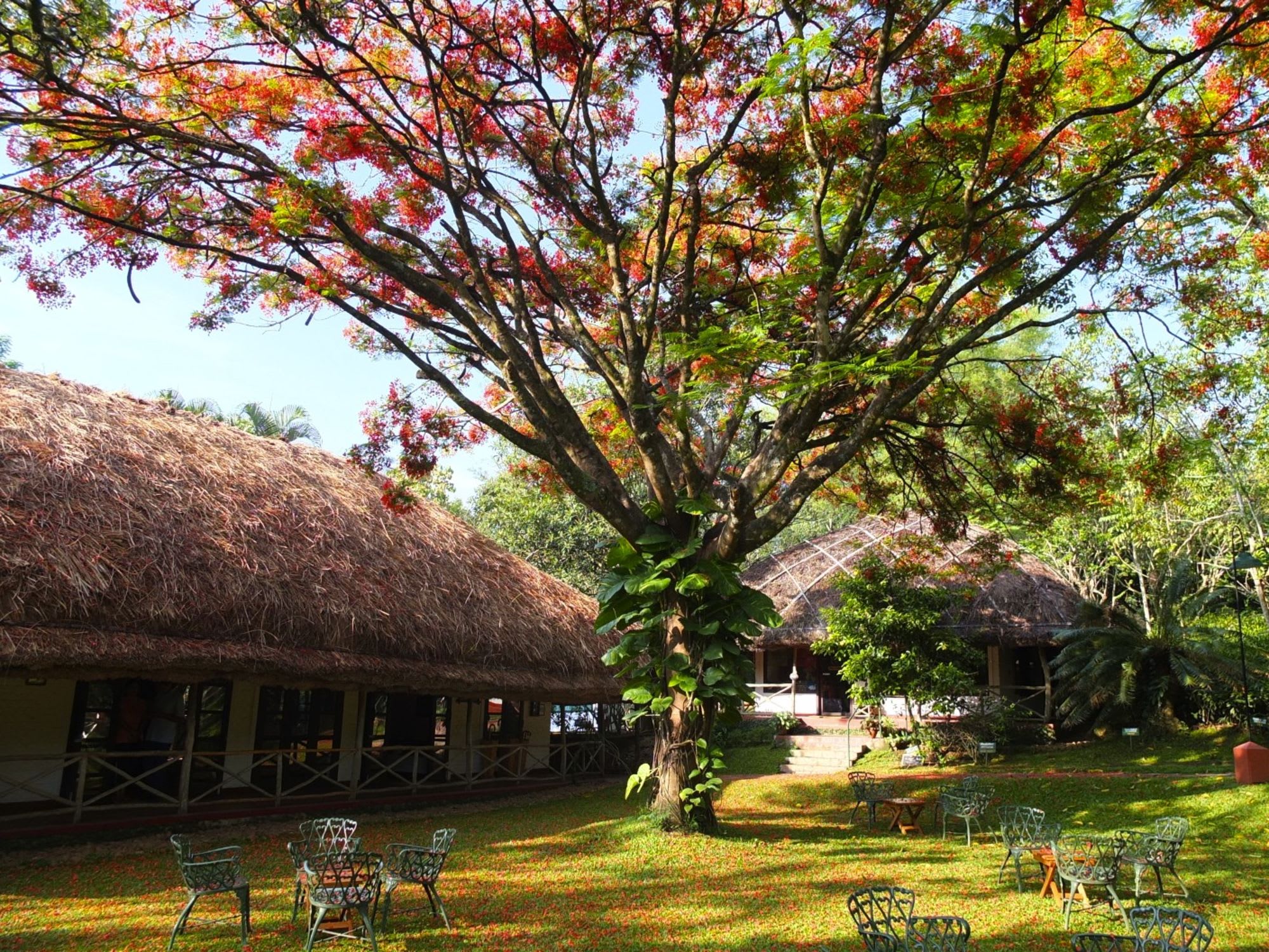 Spice Village à Thekkady: Garden