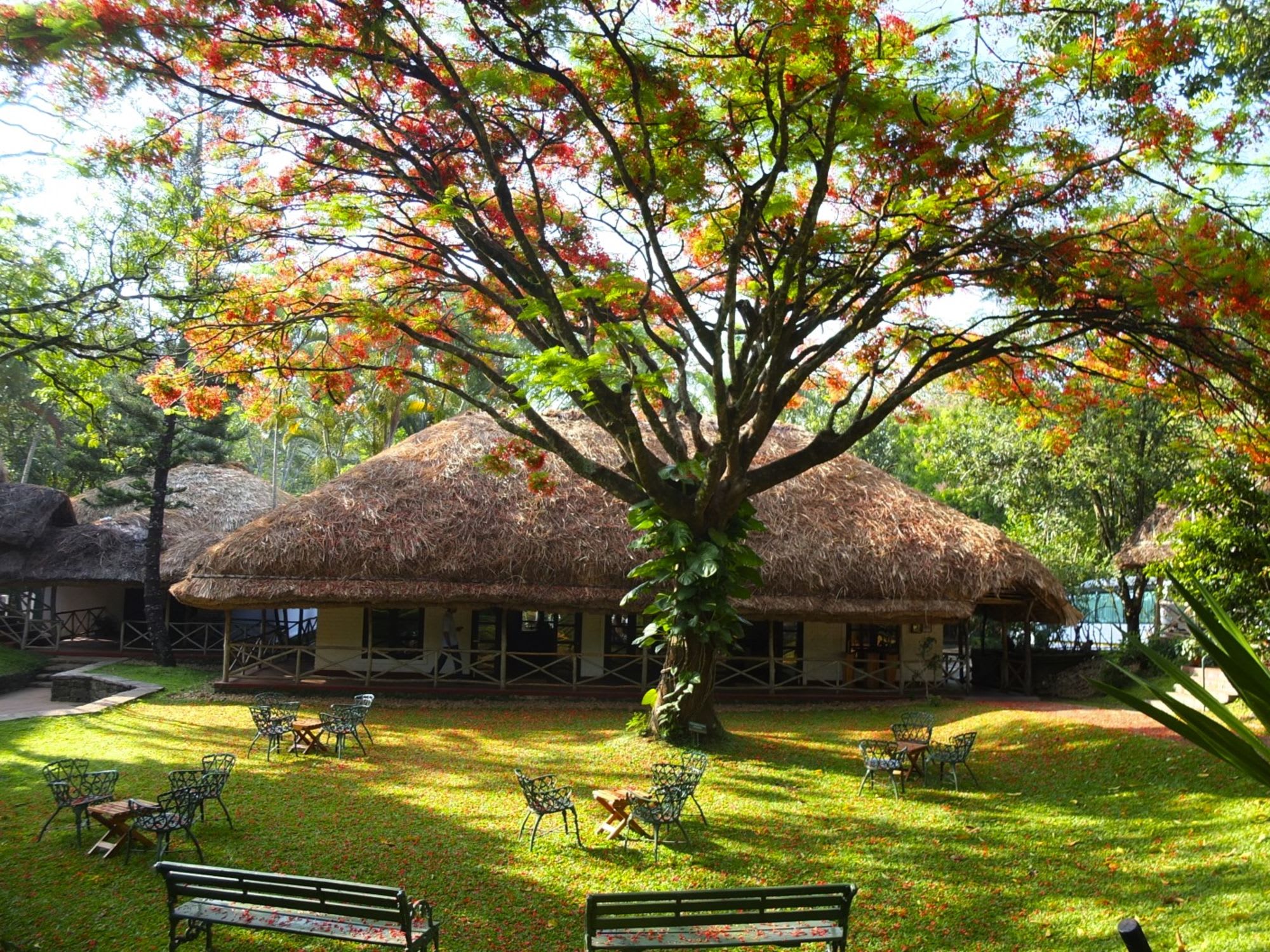 Spice Village à Thekkady: Garden