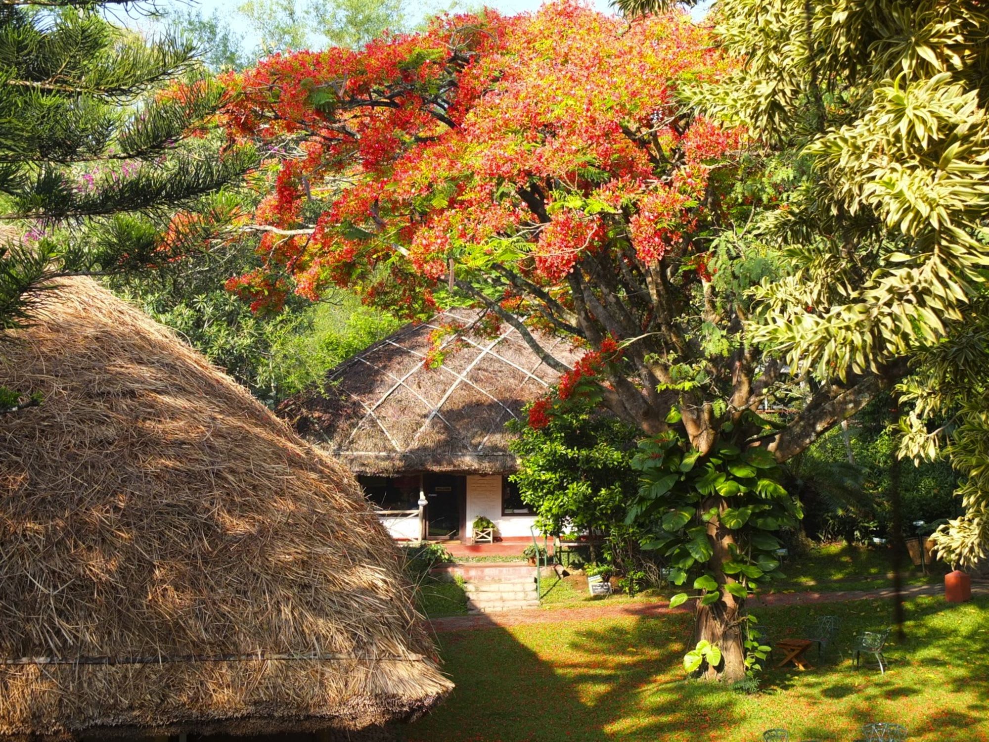 Spice Village à Thekkady: Garden