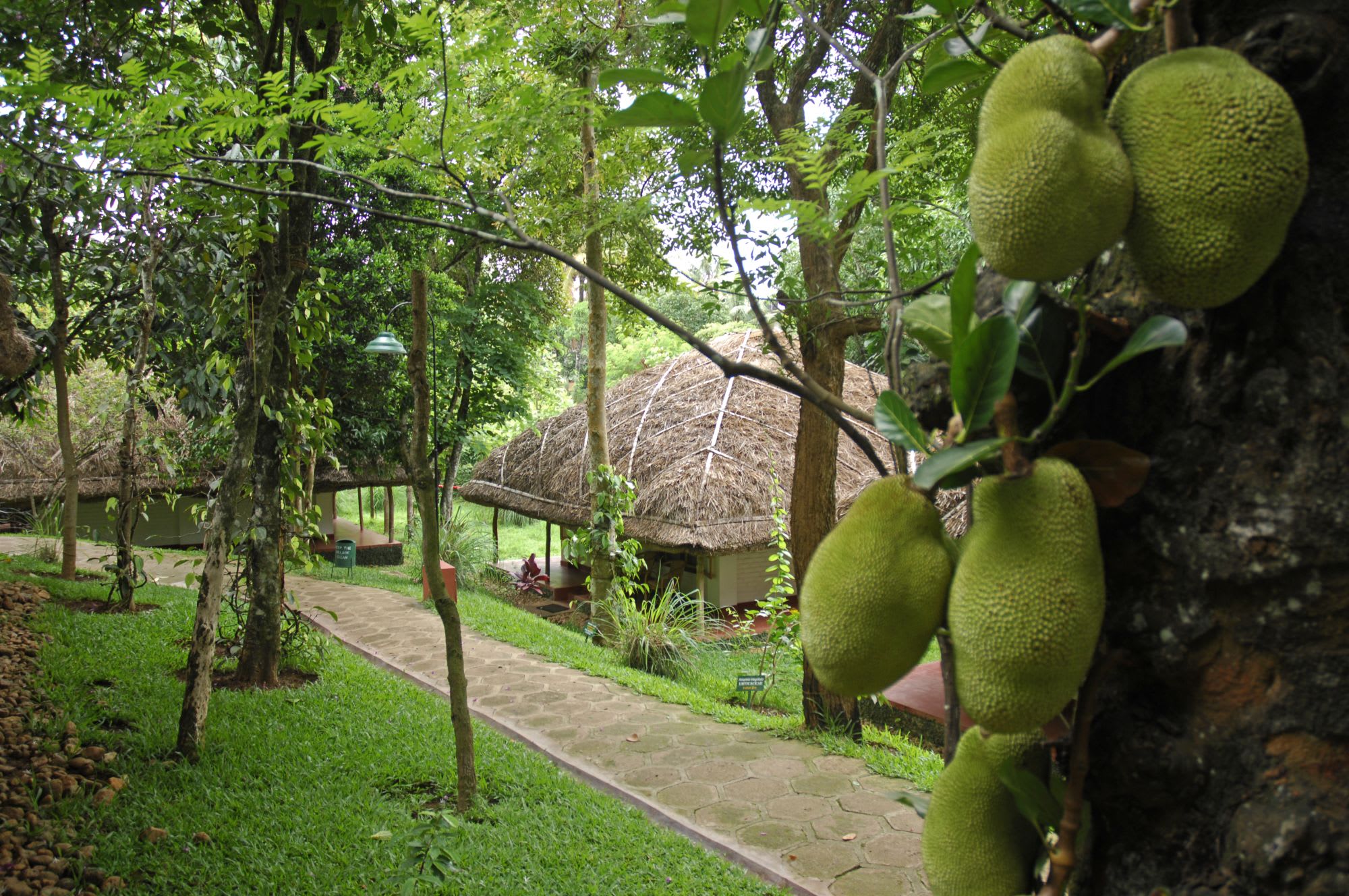 Spice Village à Thekkady: facilities: