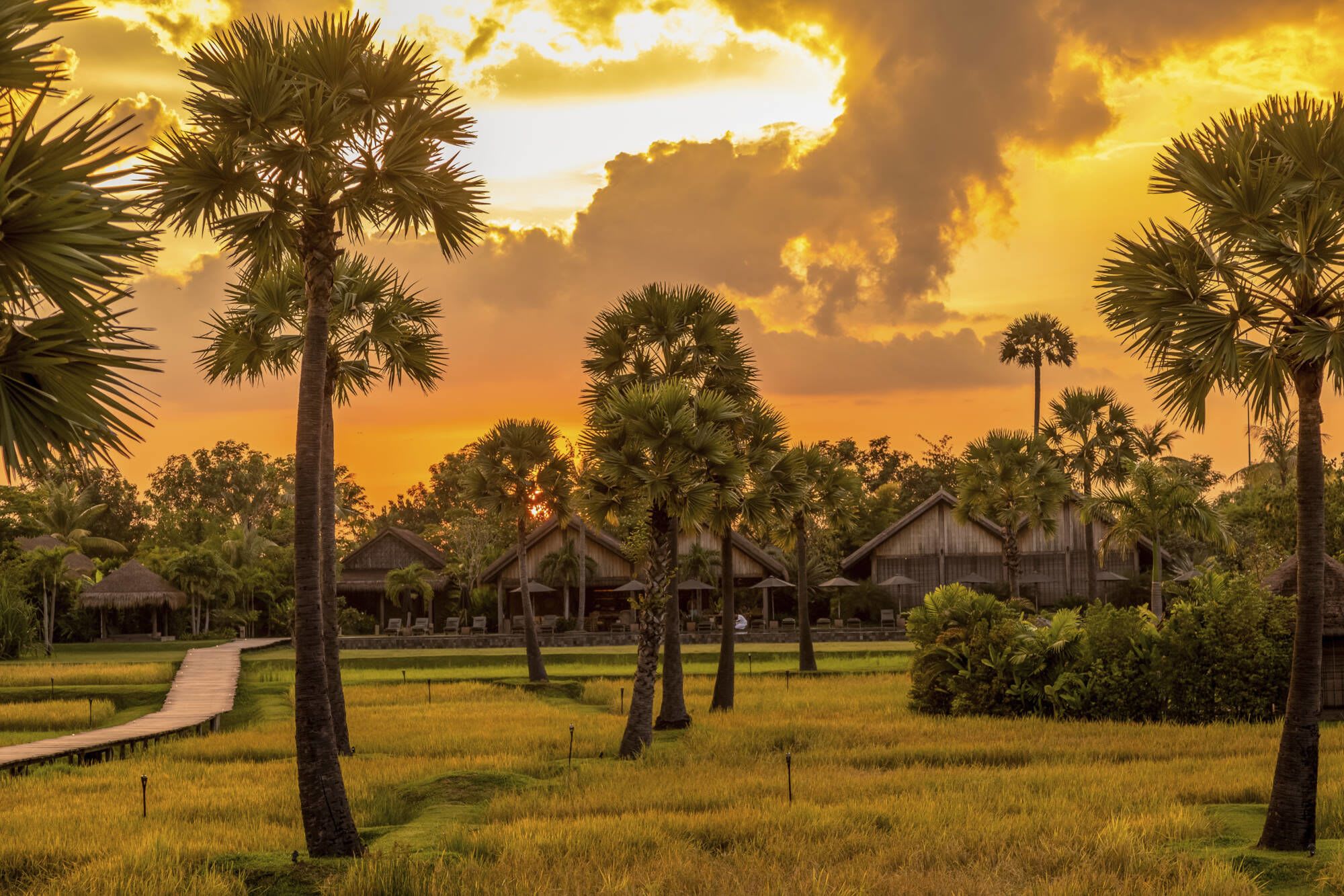 Phum Baitang in Siem Reap: Sunset