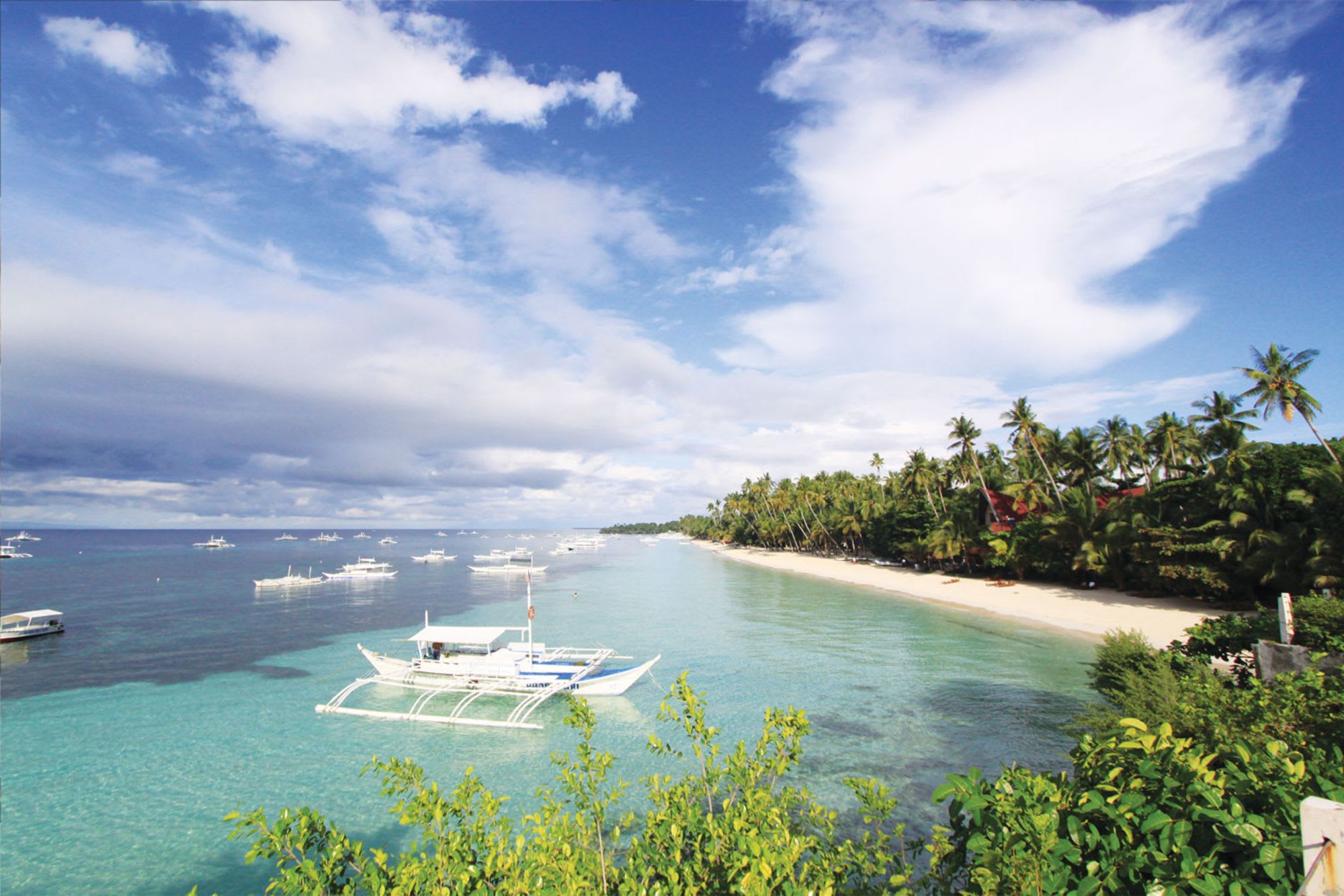 Amorita Resort in Bohol:  Alona Beach