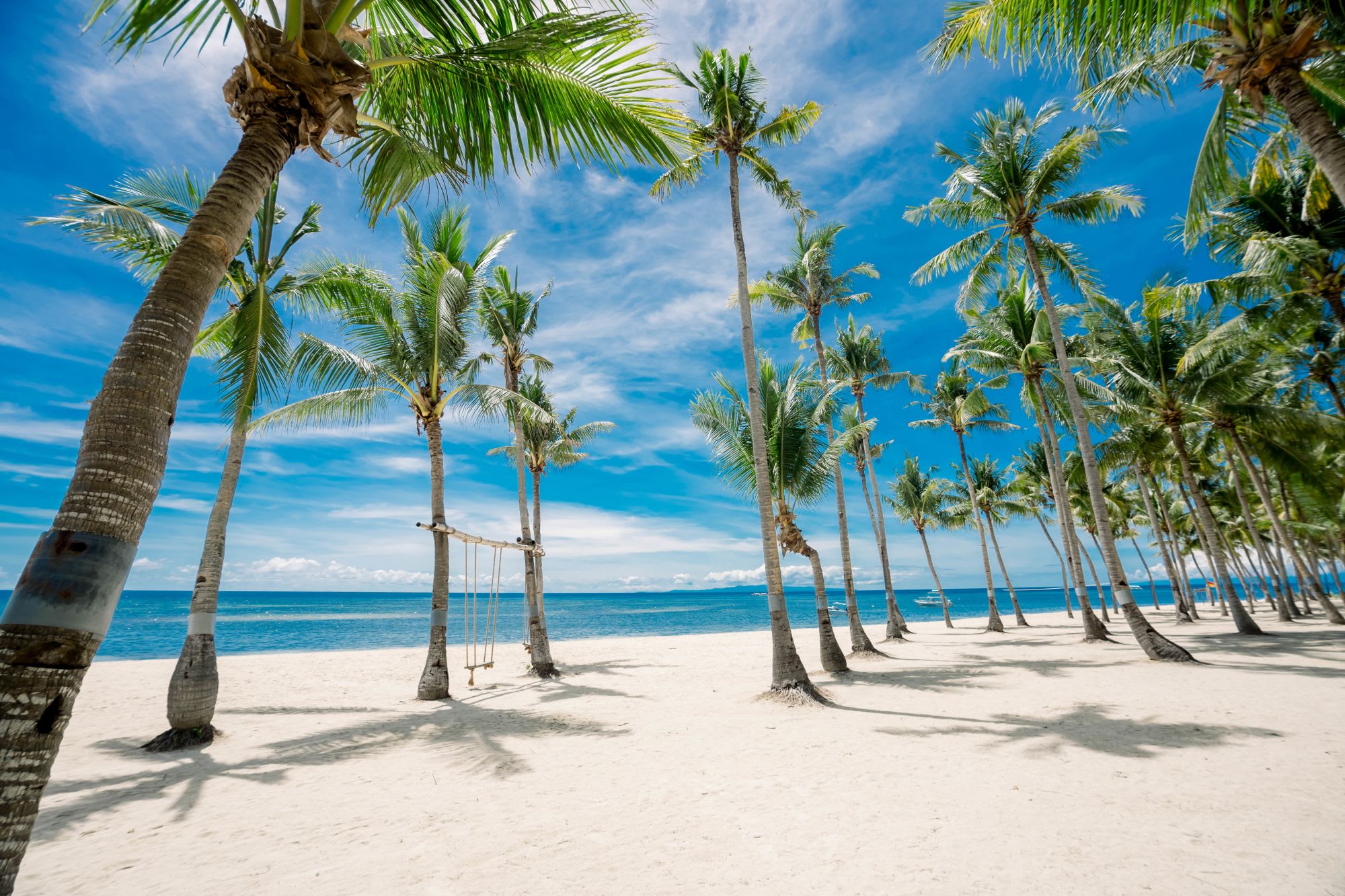 Oceanica Resort Panglao in Bohol:  Beach Area