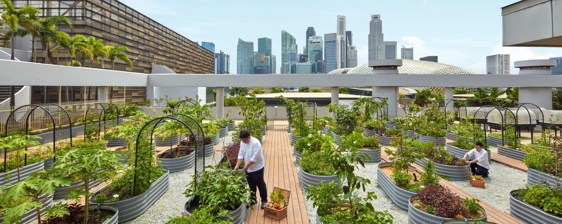 Parkroyal Collection Marina Bay in Singapur: Urban Farm