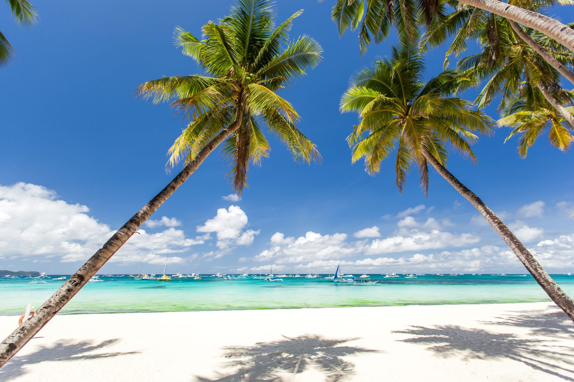 D’île en île individuellement aux Philippines de Manille: Boracay tropical beach