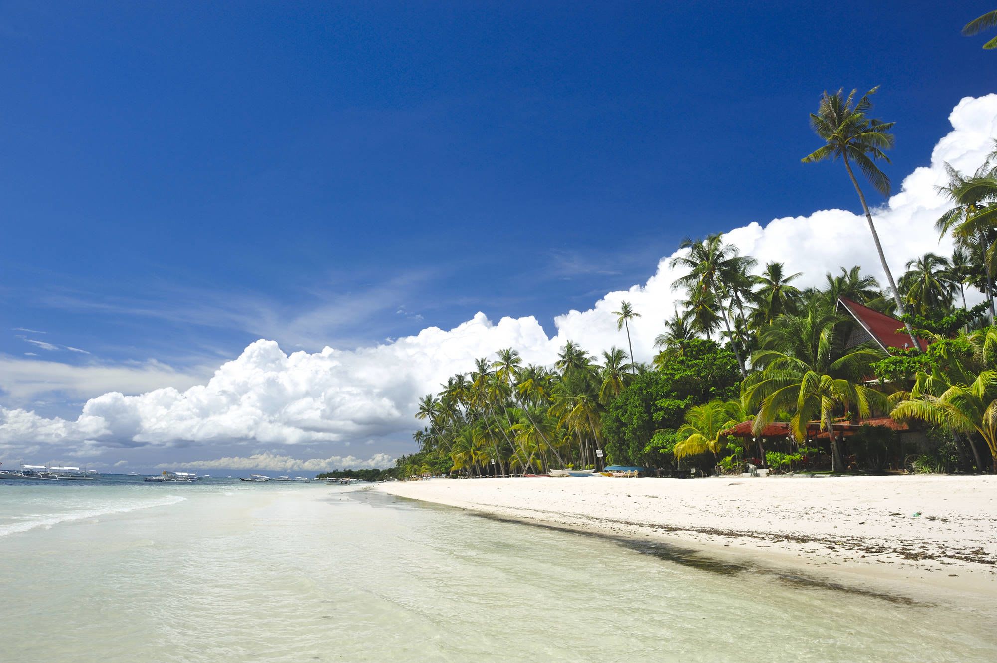 D’île en île individuellement aux Philippines de Manille: Bohol Panglao Alona Beach