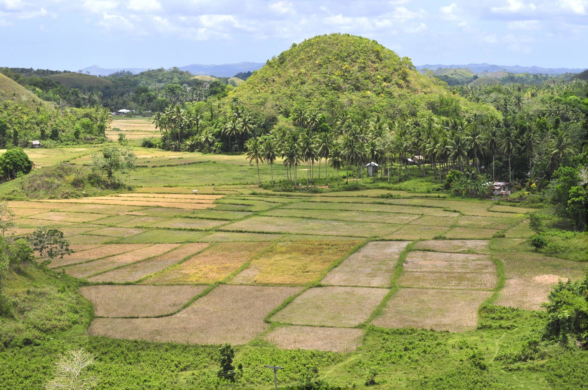 D’île en île individuellement aux Philippines de Manille: Bohol Chocolate Hills