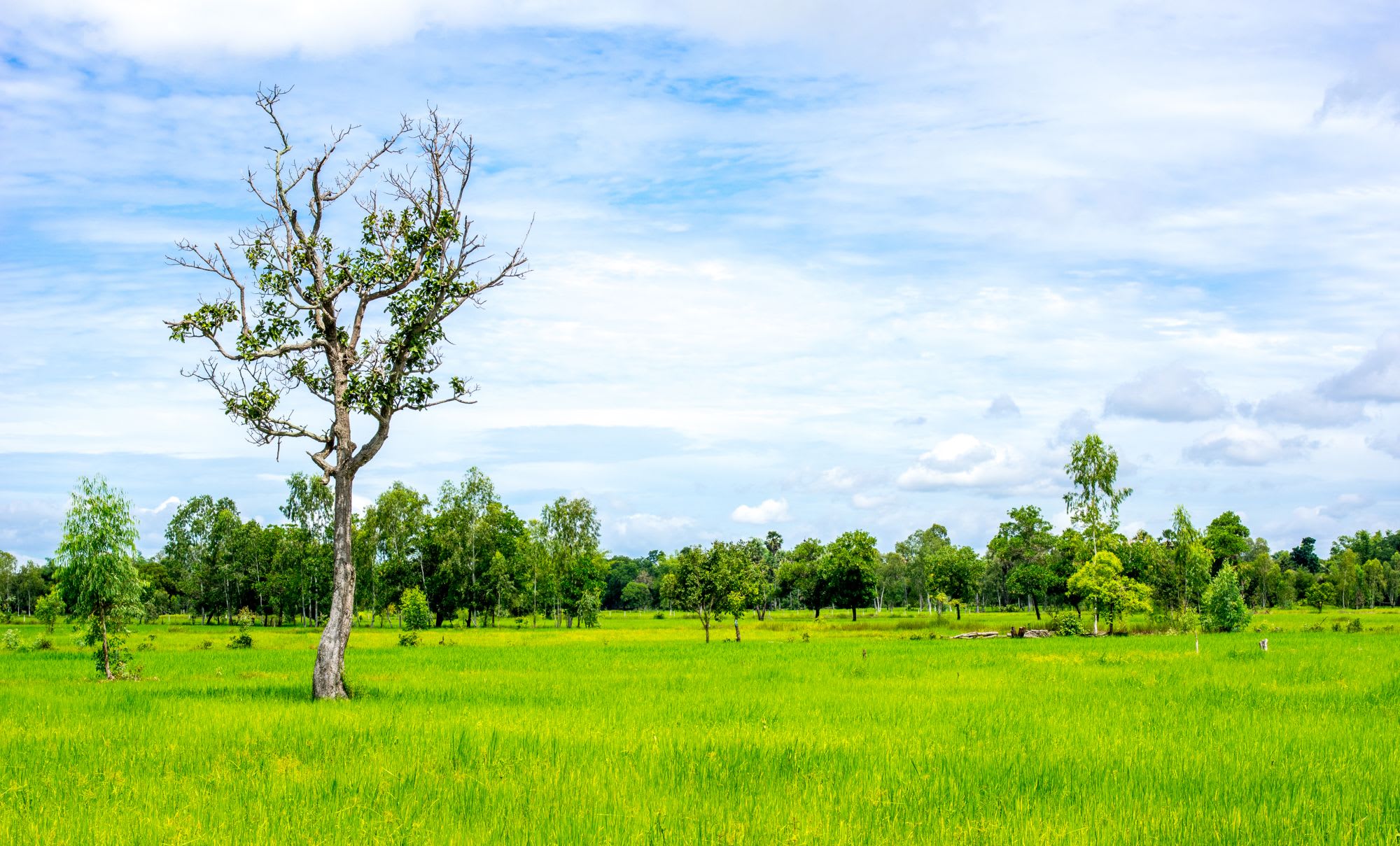 Mietwagen Rundreise in den Süden ab Bangkok: Thailand Countryside