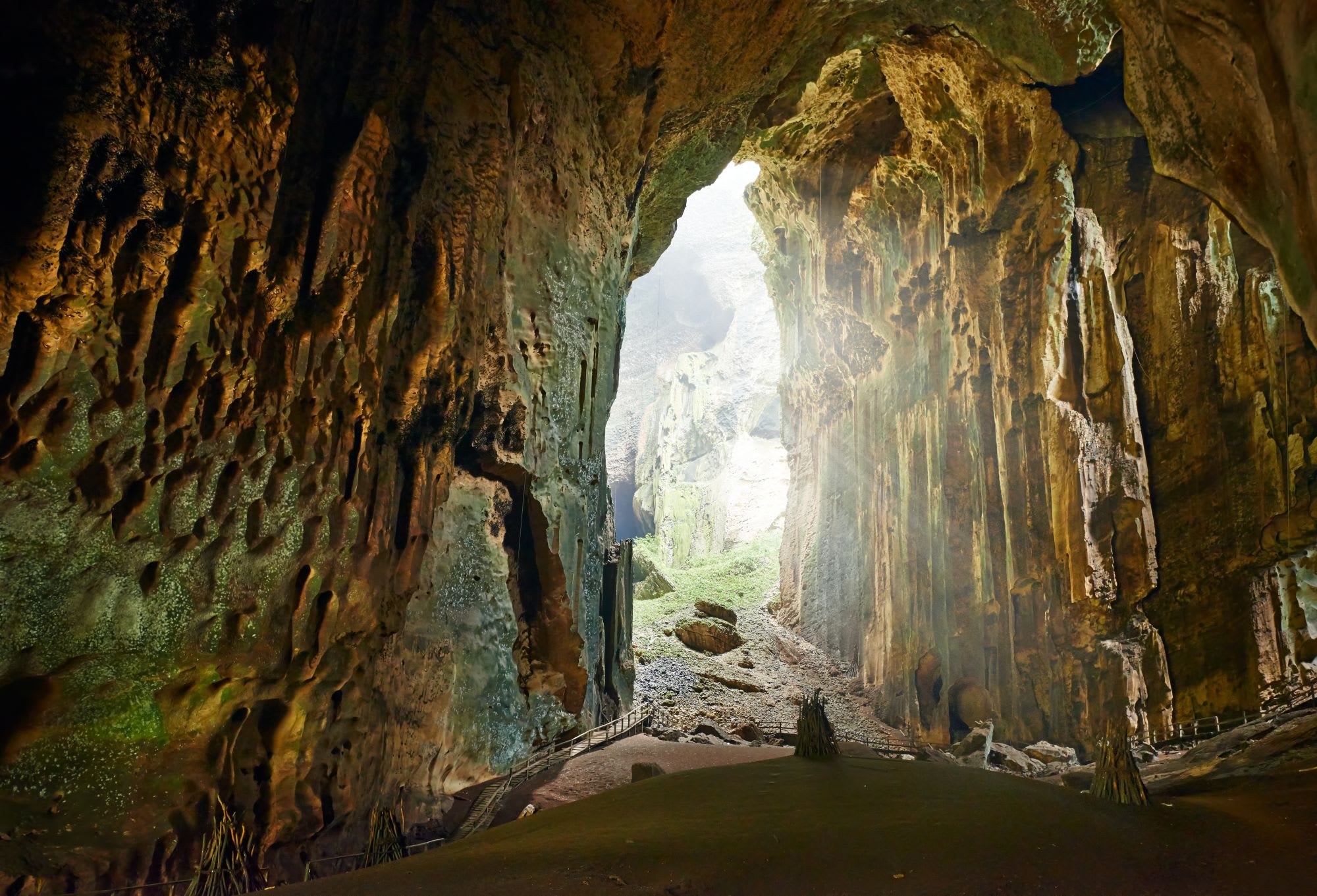 Les hauts lieux de Bornéo de Kuching: Gomantong Cave