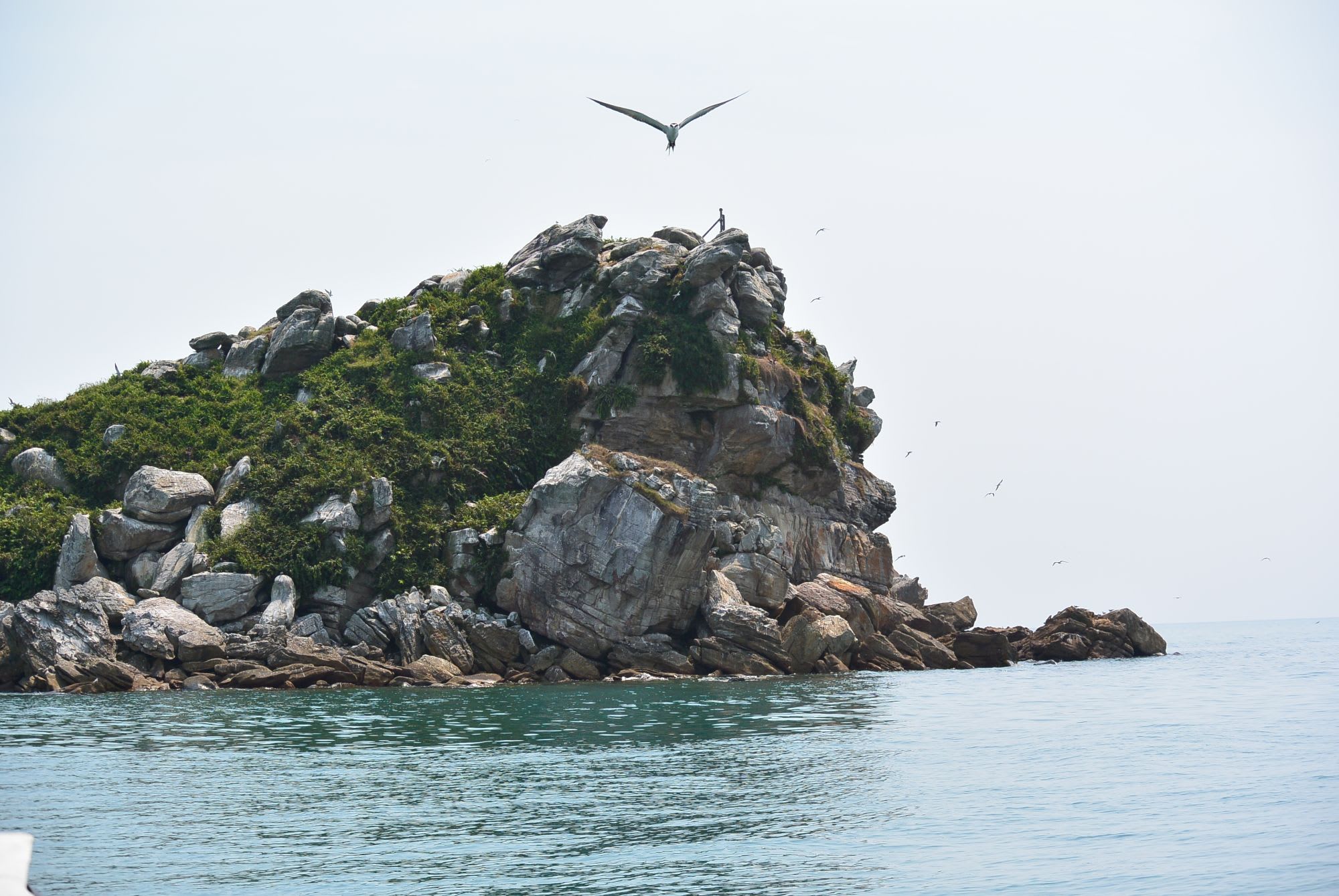 Les hauts lieux de Bornéo de Kuching: Satang Island Exc Birdrock