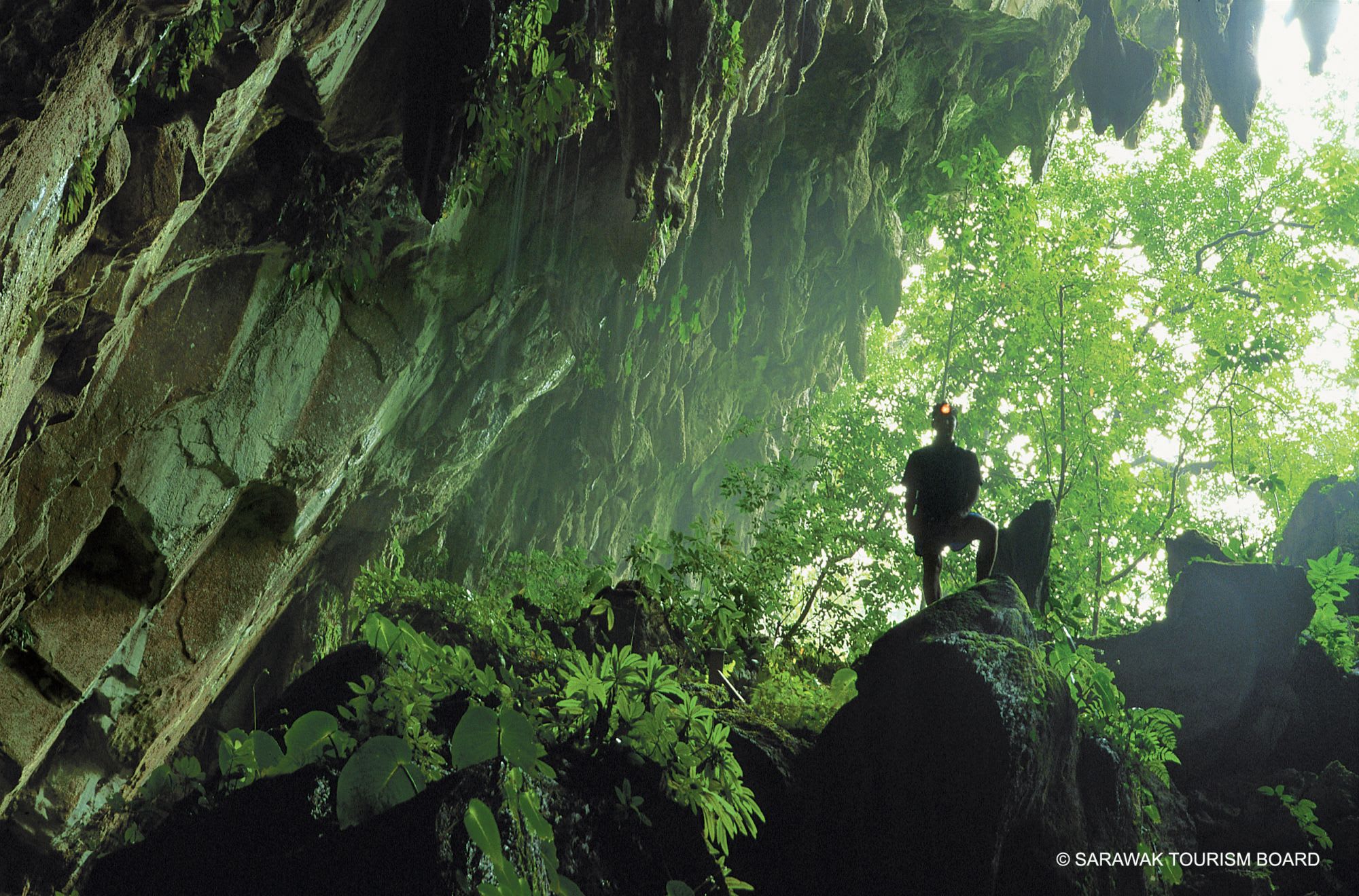 Les hauts lieux de Bornéo de Kuching: Mulu Caves