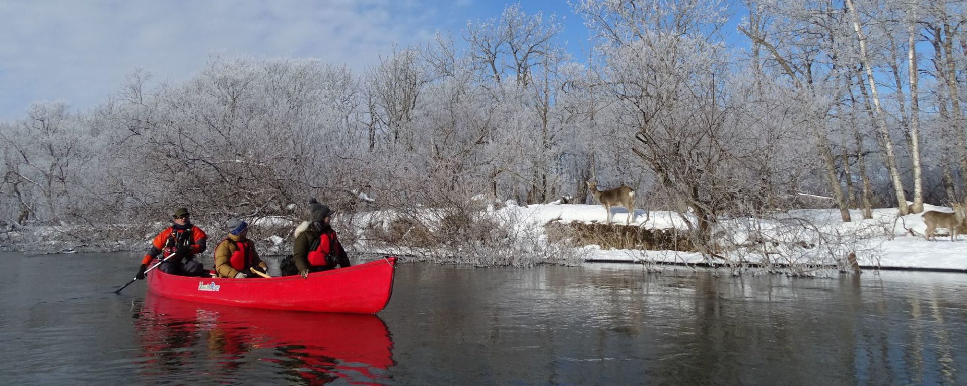 Hokkaidos Winterzauber aktiv erleben ab Kushiro: Canoeing at Kushiro River