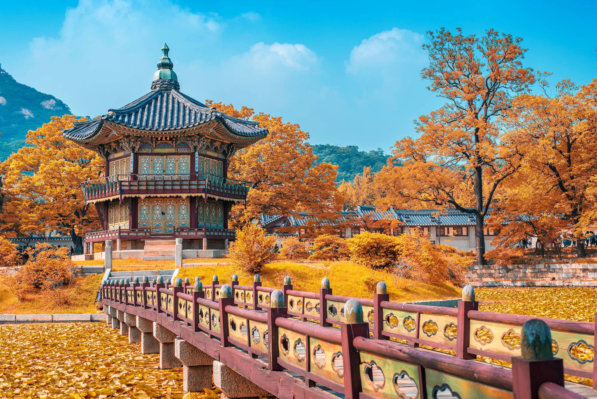 Circuit en groupe «La Corée du Sud authentique» de Séoul: Seoul Gyeongbokgung Palace