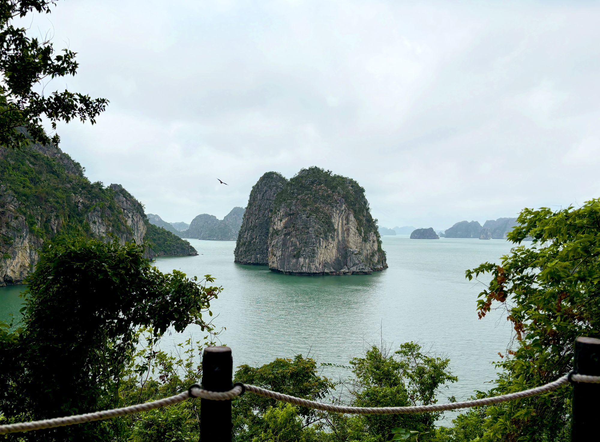 Bai Tu Long Bucht Kreuzfahrt mit «Violet» ab Hanoi: Bai Tu Long Bay top view