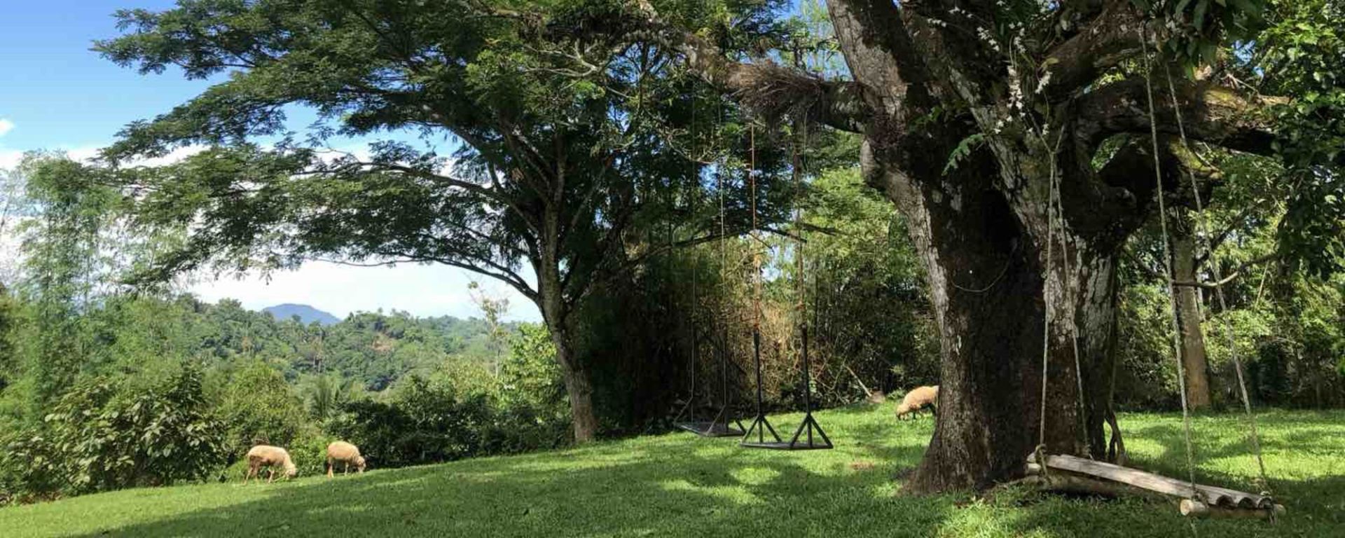 Cebu - Heritage & Soft Adventure: Farm House