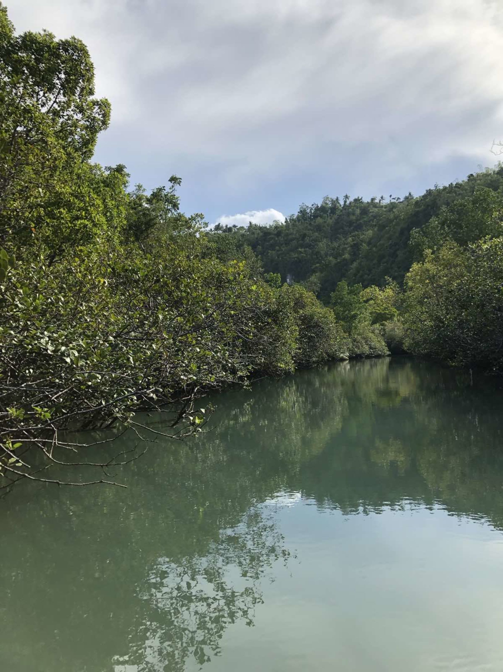 Cebu - Heritage & Soft Adventure: Bojo River