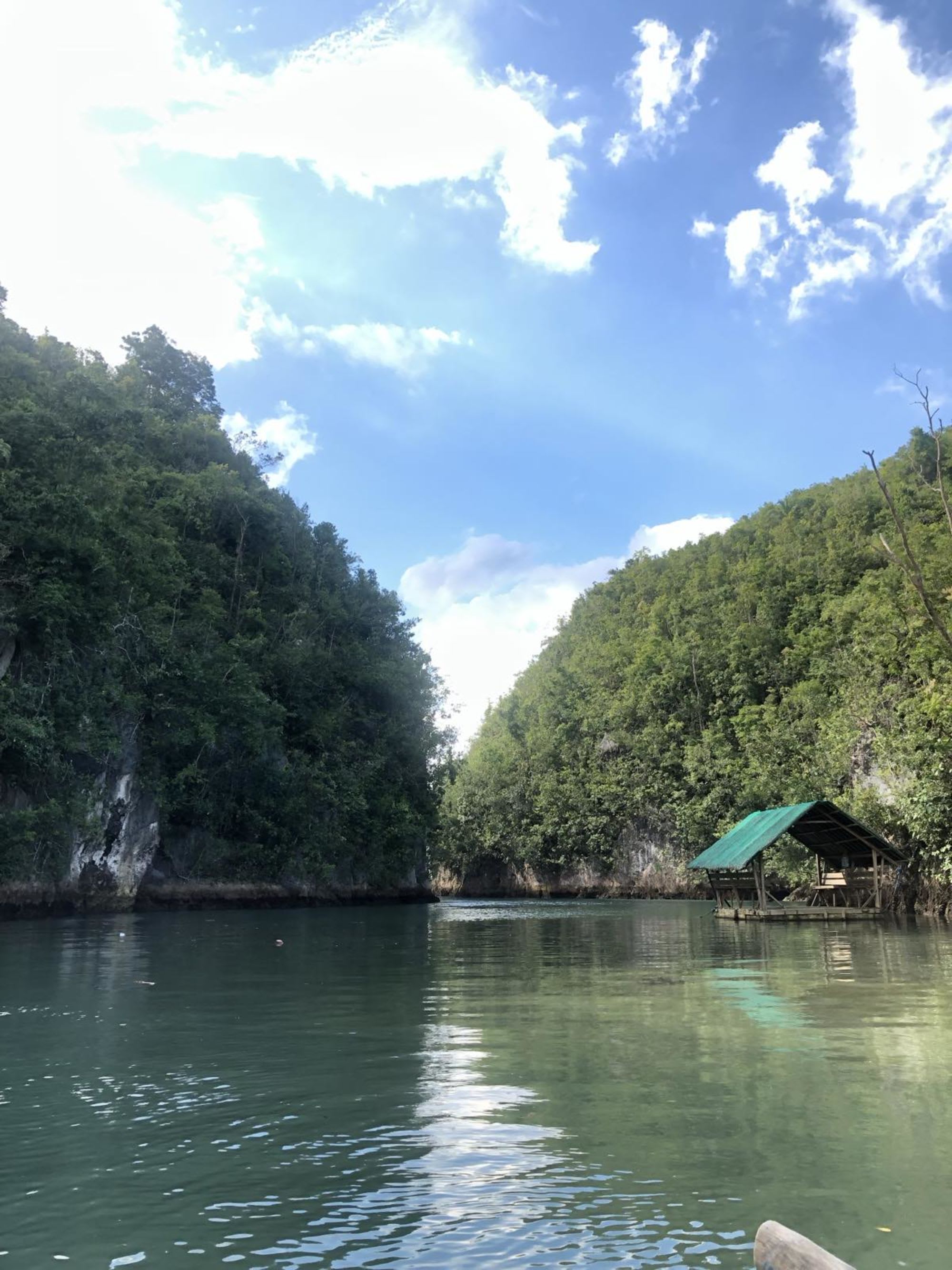 Cebu - Heritage & Soft Adventure: Bojo River