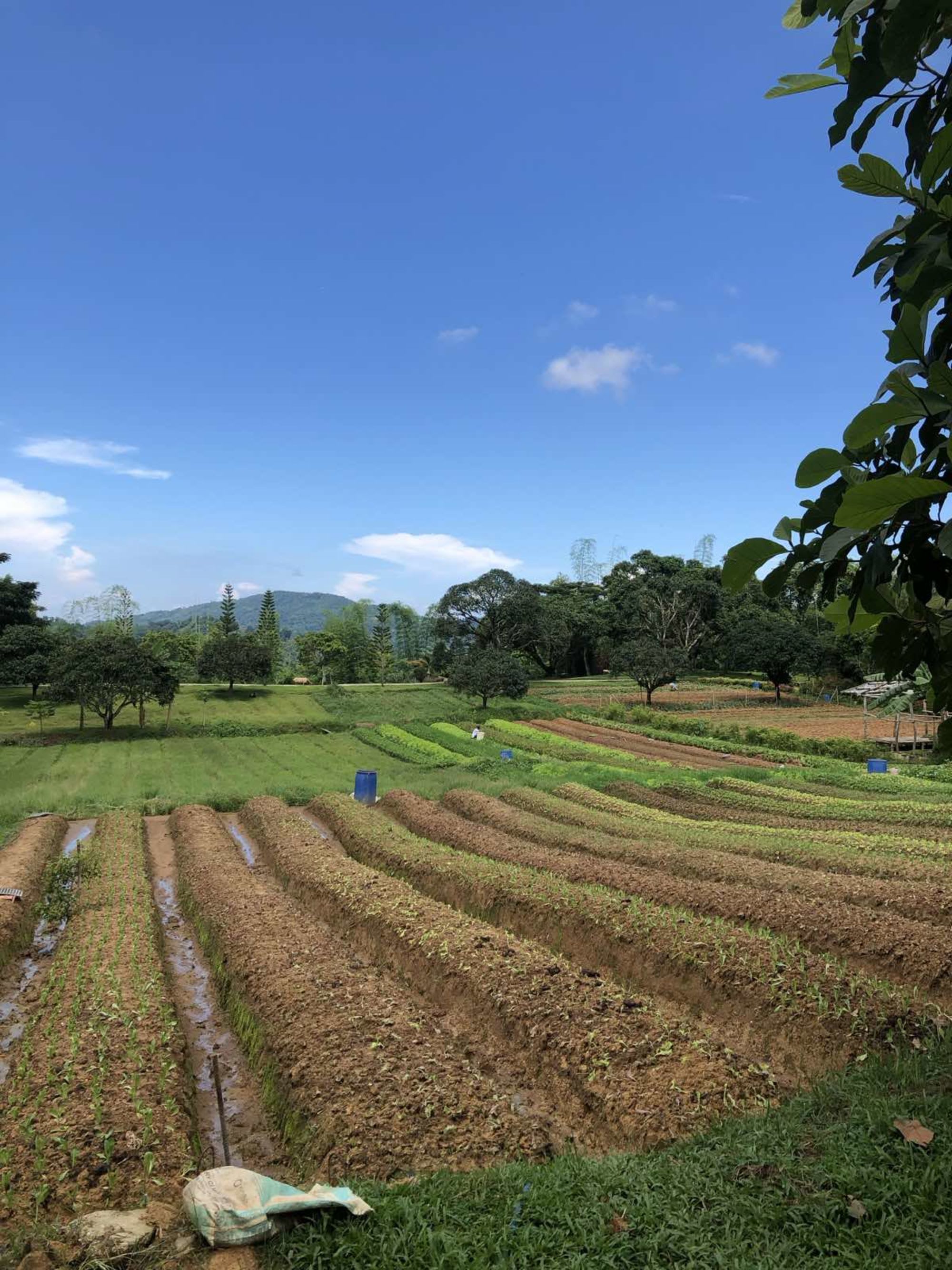 Cebu - Heritage & Soft Adventure: Farm House