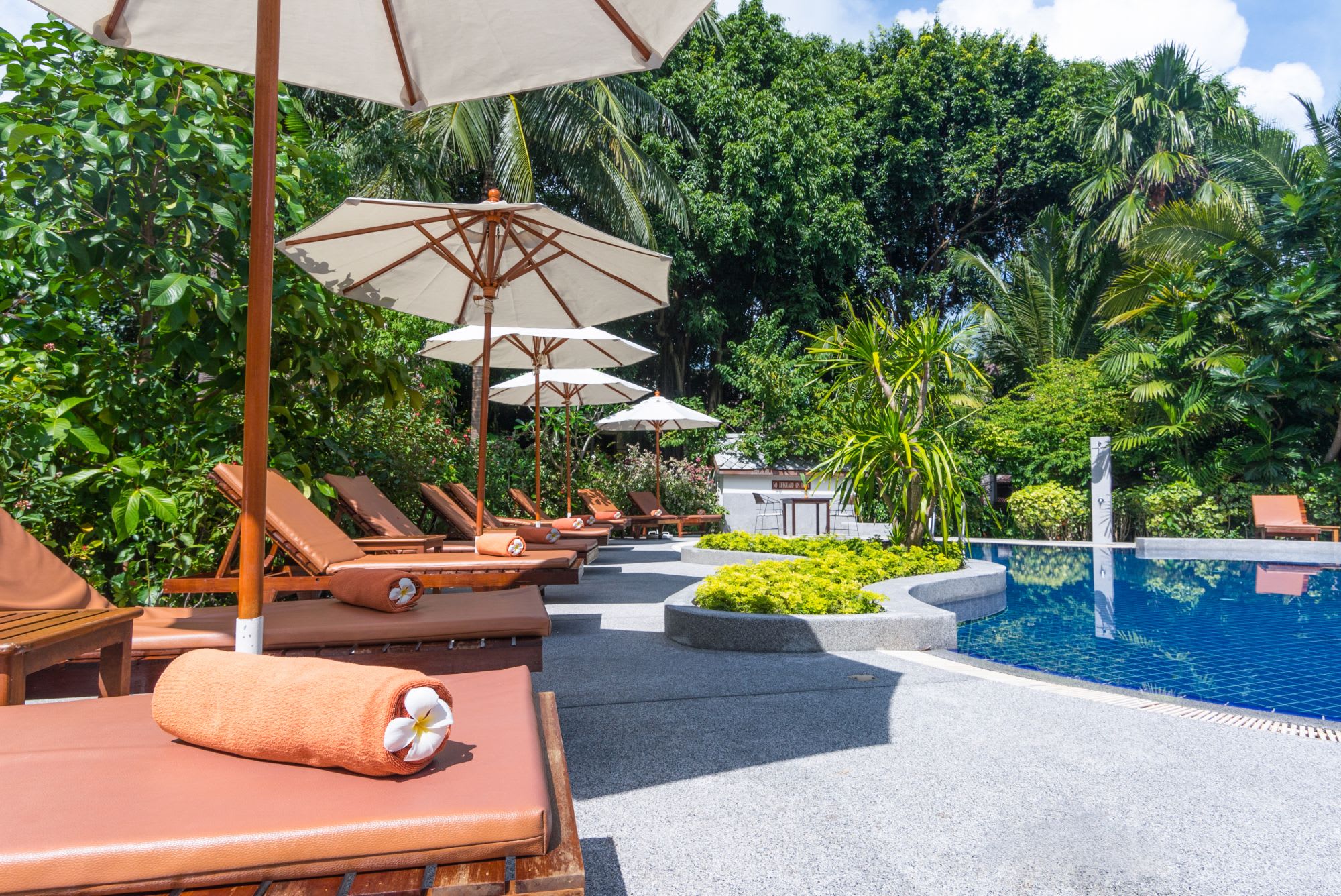 Paradise Beach Resort in Ko Samui: Pool Garden