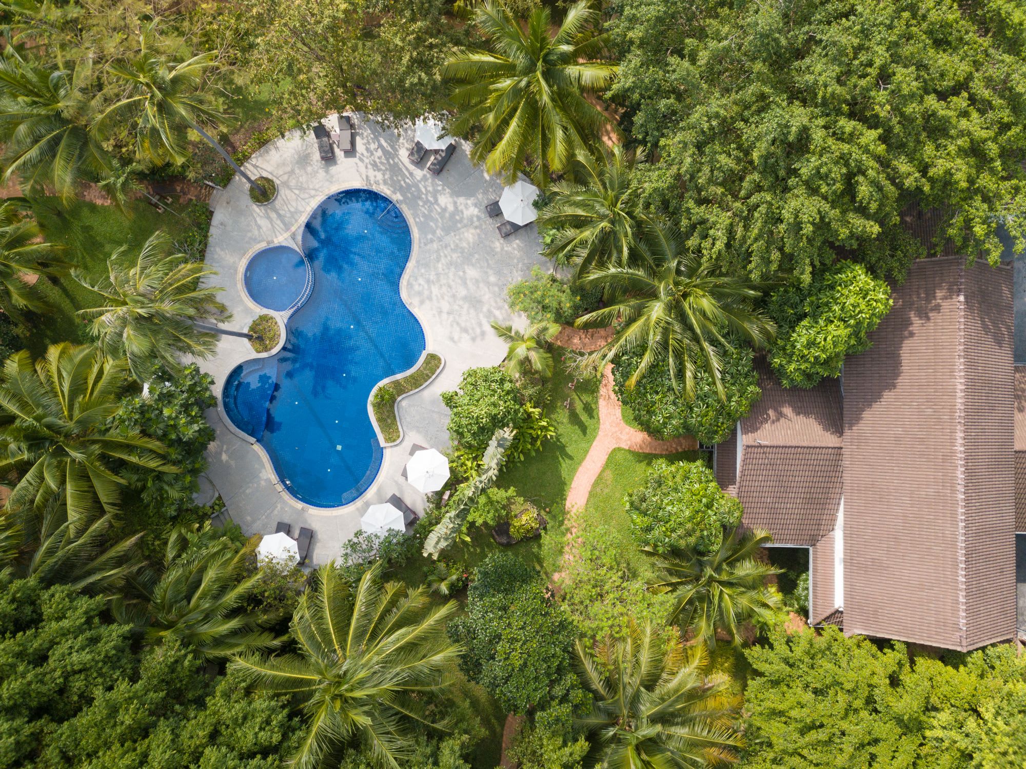 Paradise Beach Resort in Ko Samui: overview Pool Garden