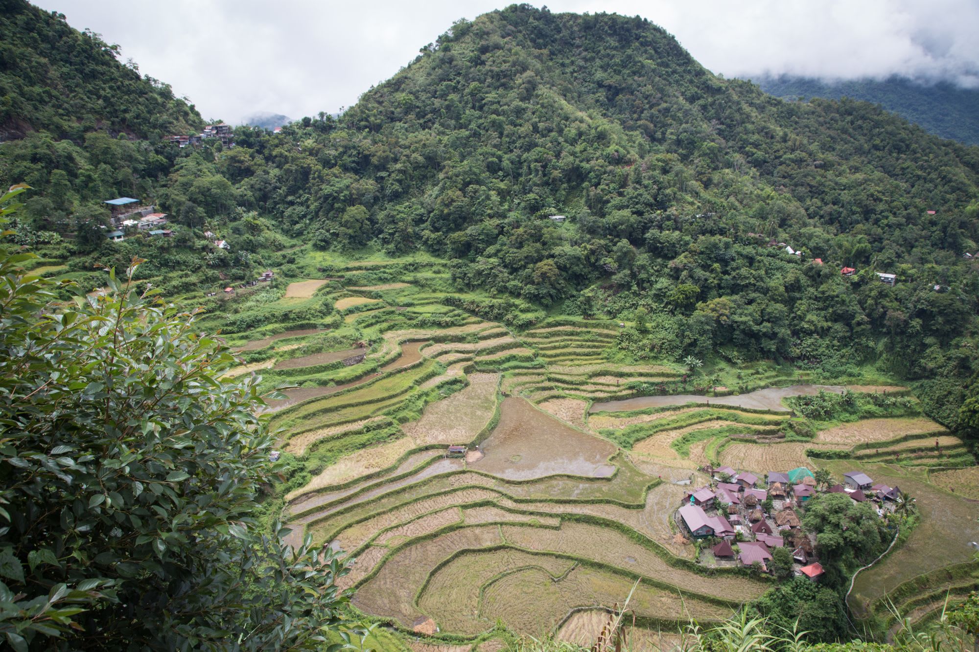 Nord-Luzon Rundreise inkl. Wanderung nach Batad ab Manila: Luzon Banaue Bangaan Rice Terraces
