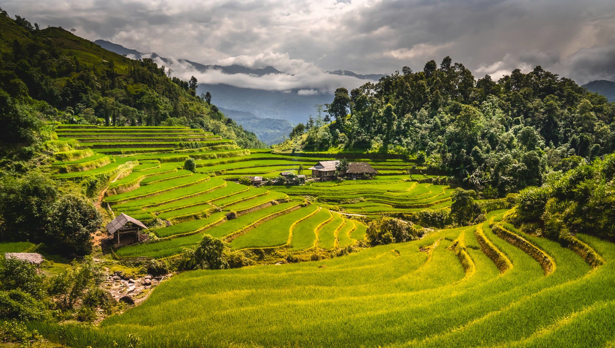 Wildes Nordvietnam ab Hanoi: Spectacular terraced rice fields of Hoang Su Phi